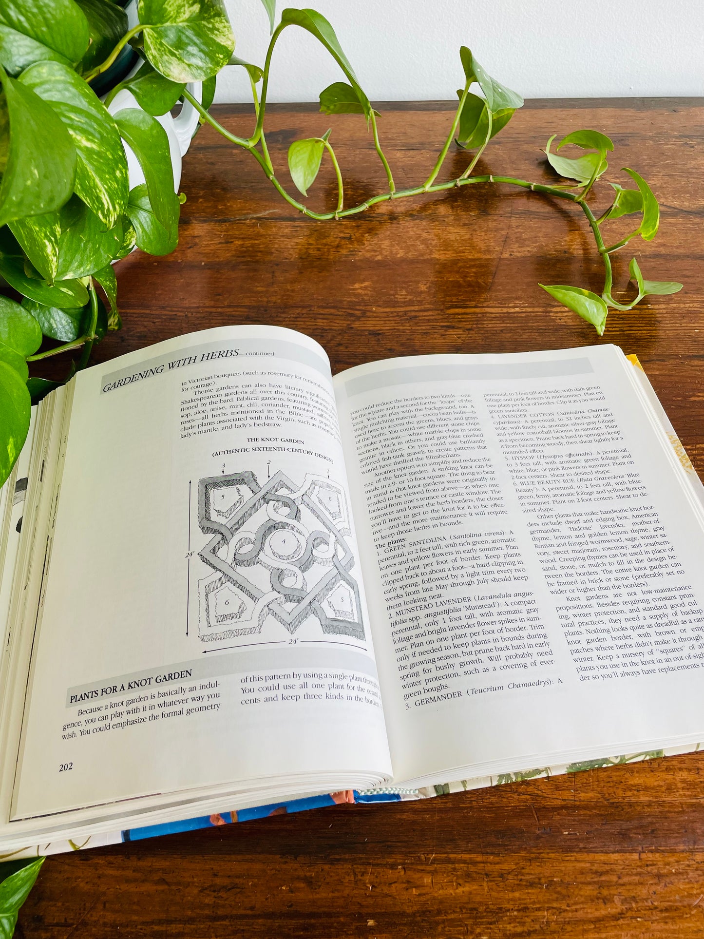 Rodale's Illustrated Encyclopedia of Herbs Hardcover Book (1987)