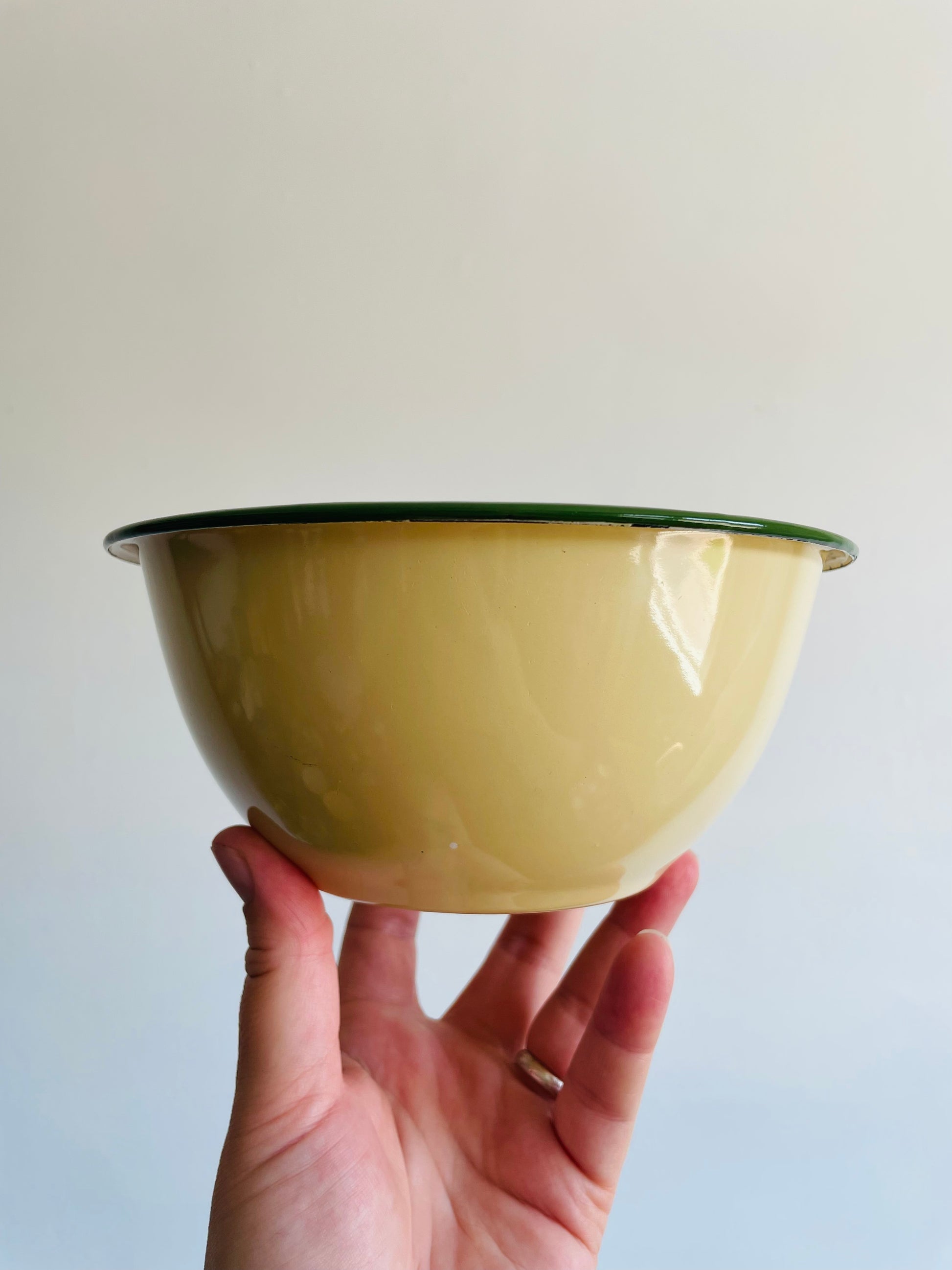 Vintage Goldfish Brand Deep Enamelware Bowl - Seafoam Green with Cobal –  Greenbrier Vintage