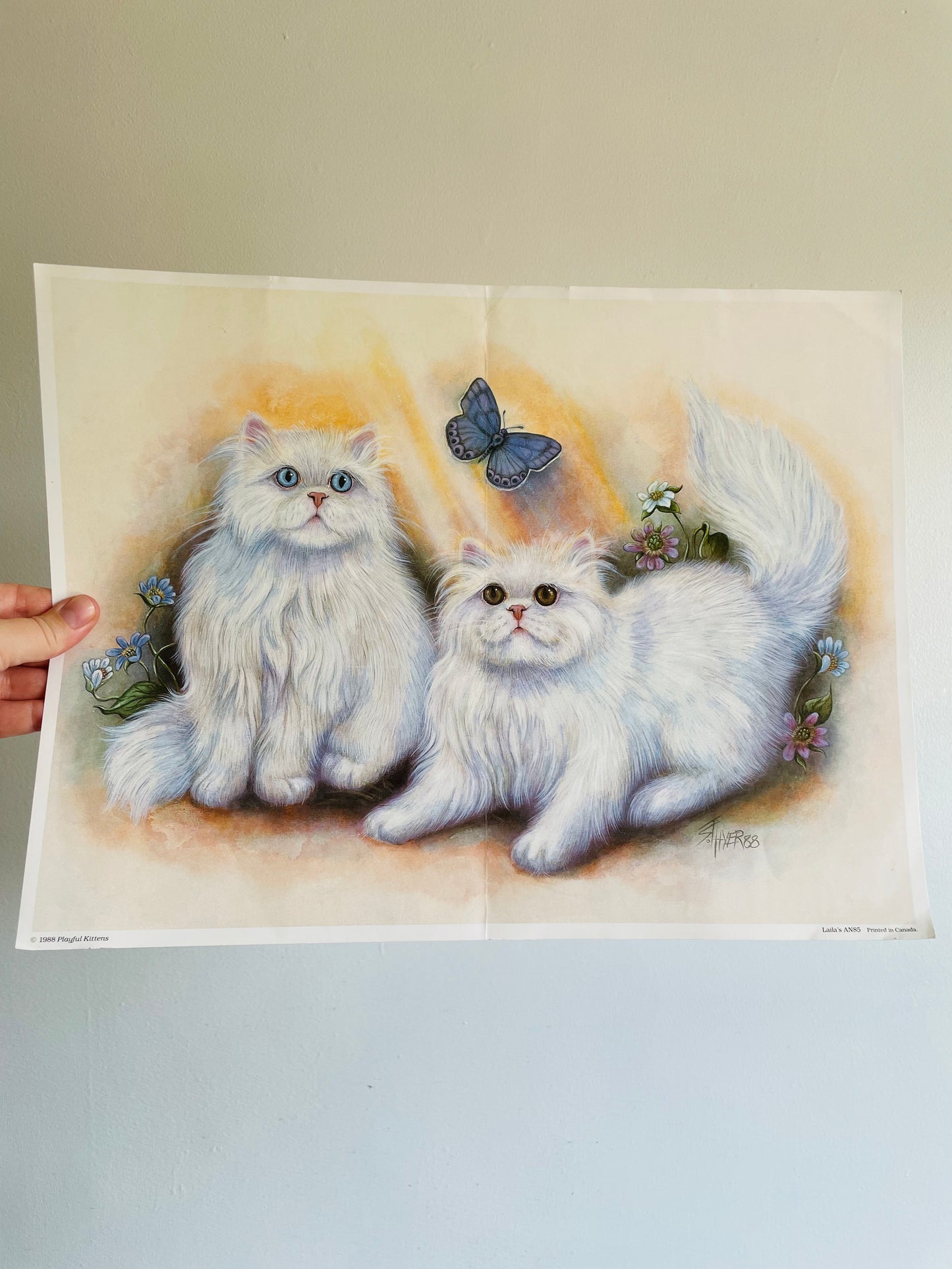 Playful Kittens Poster Print - Ready for Framing! Printed in Canada (1988)