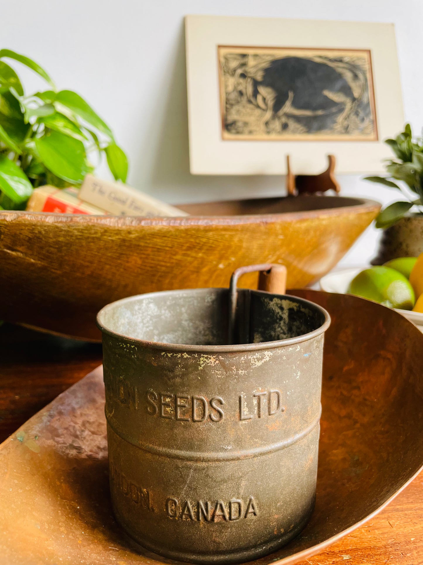 Dominion Seeds Ltd. London Canada 2 Cup Flour Sifter Cup with Wood Handle - Makes a Great Planter!