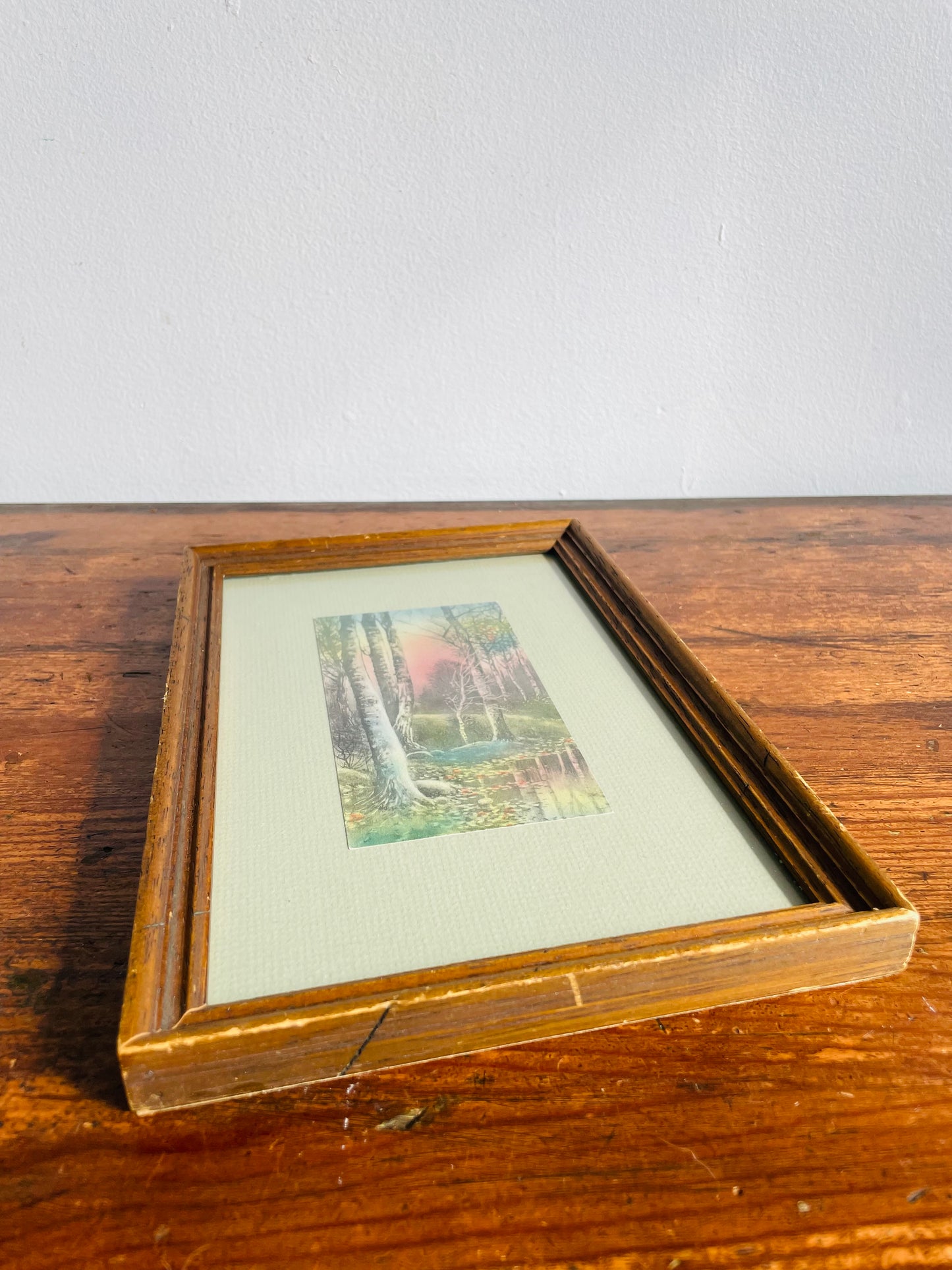 Framed Lithograph Print Picture of Sunrise Coming Through the Forest