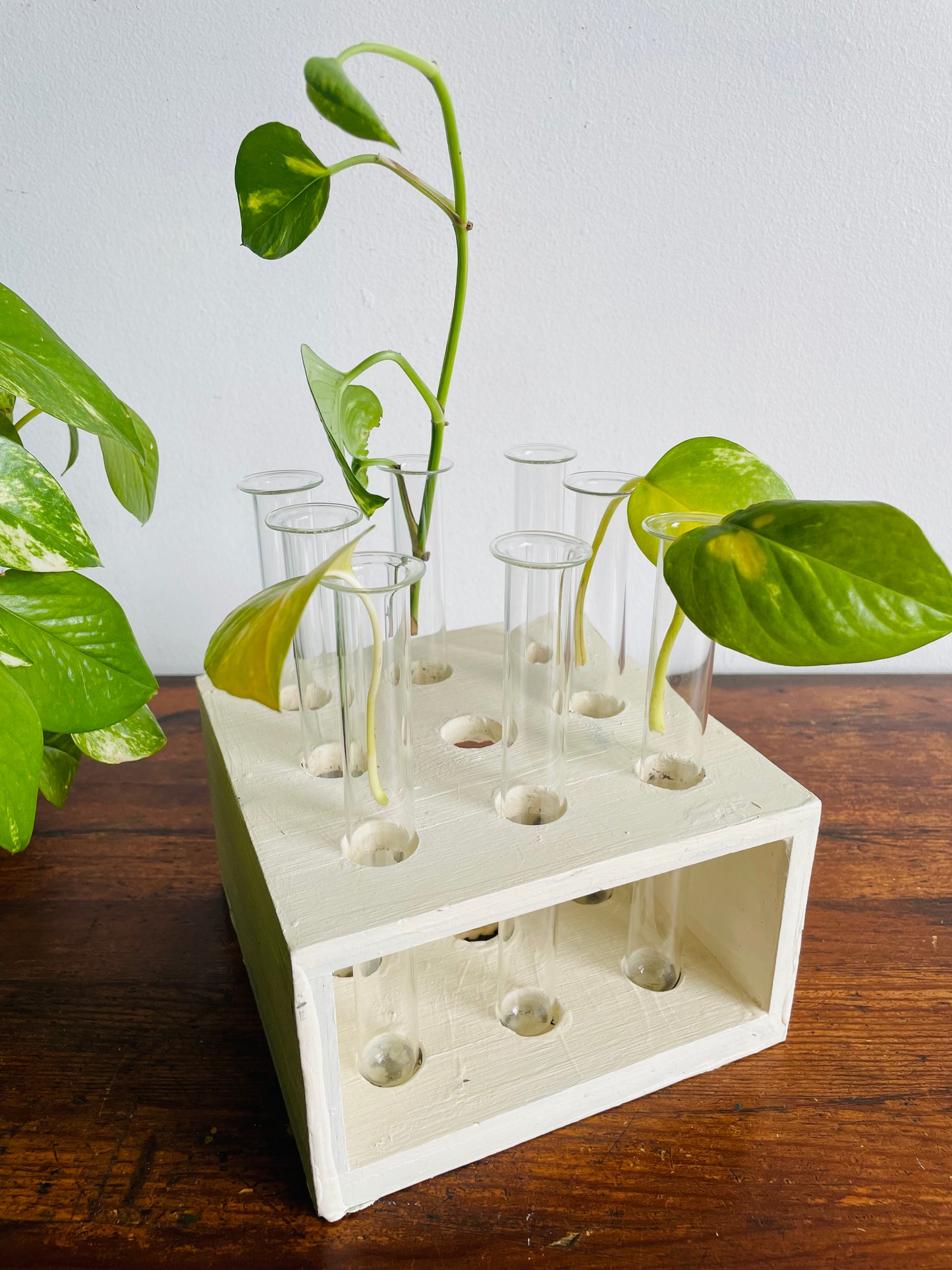 Handmade Wood Propagation Station with 8 Glass Test Tube Inserts