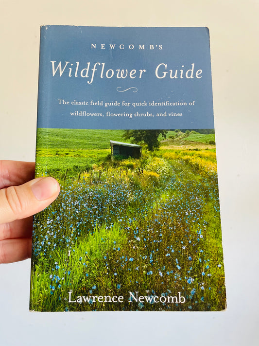 Newcomb's Wildflower Guide Book by Lawrence Newcomb (2011) - Beautiful Colour Illustrations & Black Line Drawings