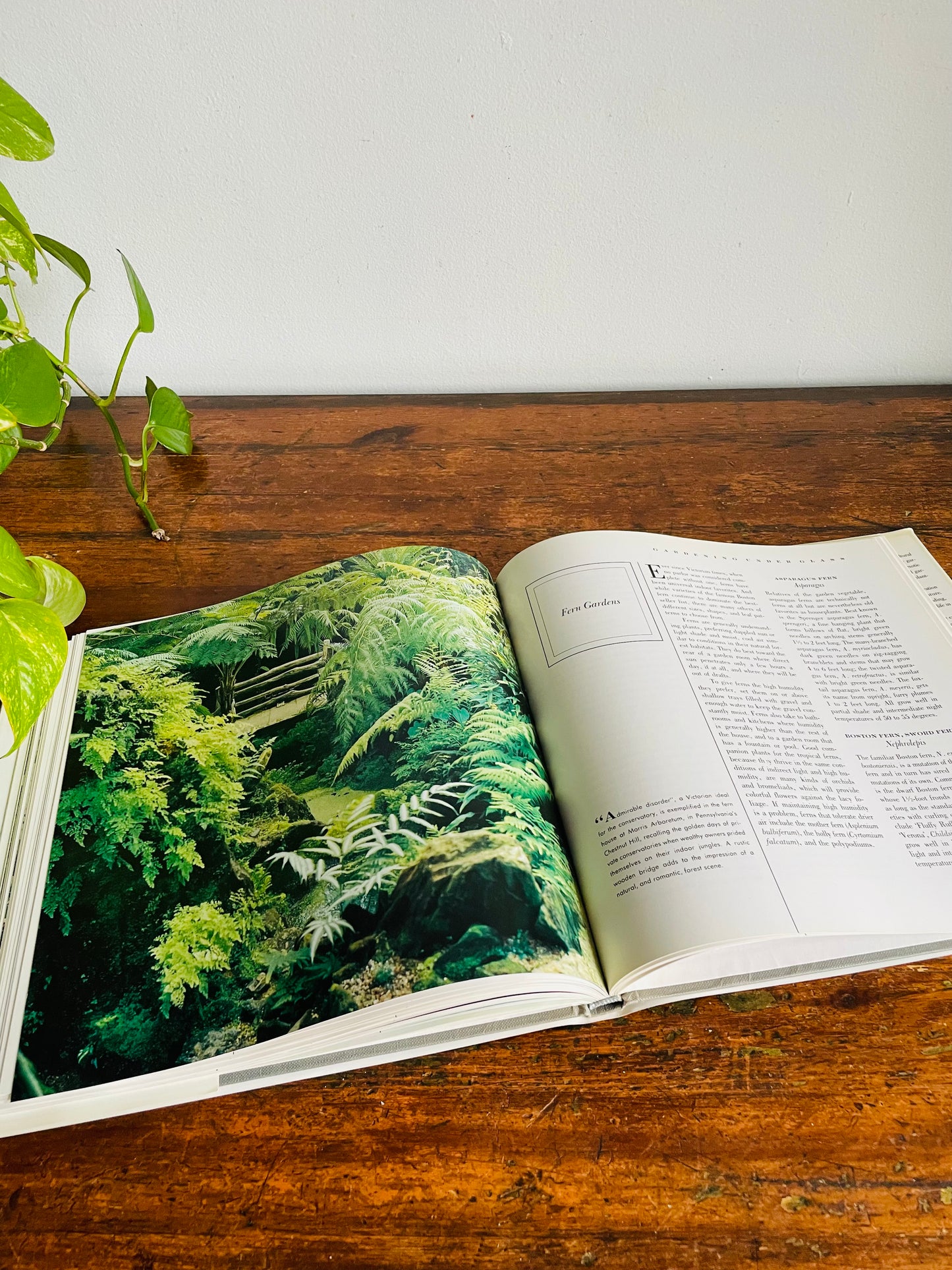 Vintage Garden Rooms Hardcover Coffee Table Book by Ogden Tanner (1986)