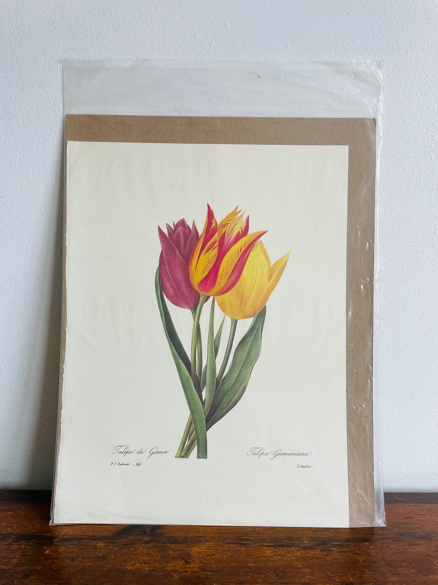 The Most Beautiful Flowers by Pierre Joseph Redoute Plate Reproduction Print - Garden Tulips