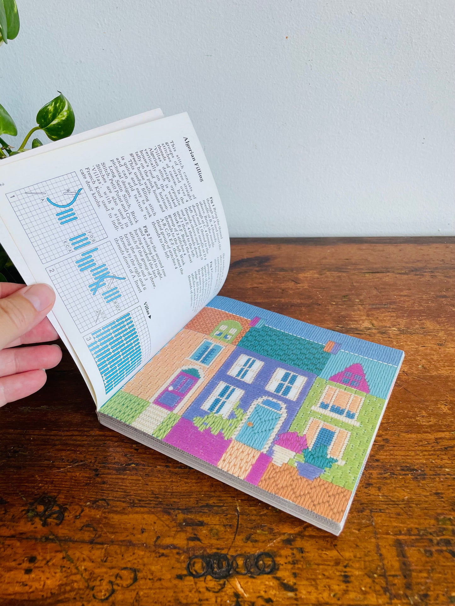 Vintage The New Anchor Book of Canvaswork Stitches and Patterns Softcover Book by Eve Harlow (1991)