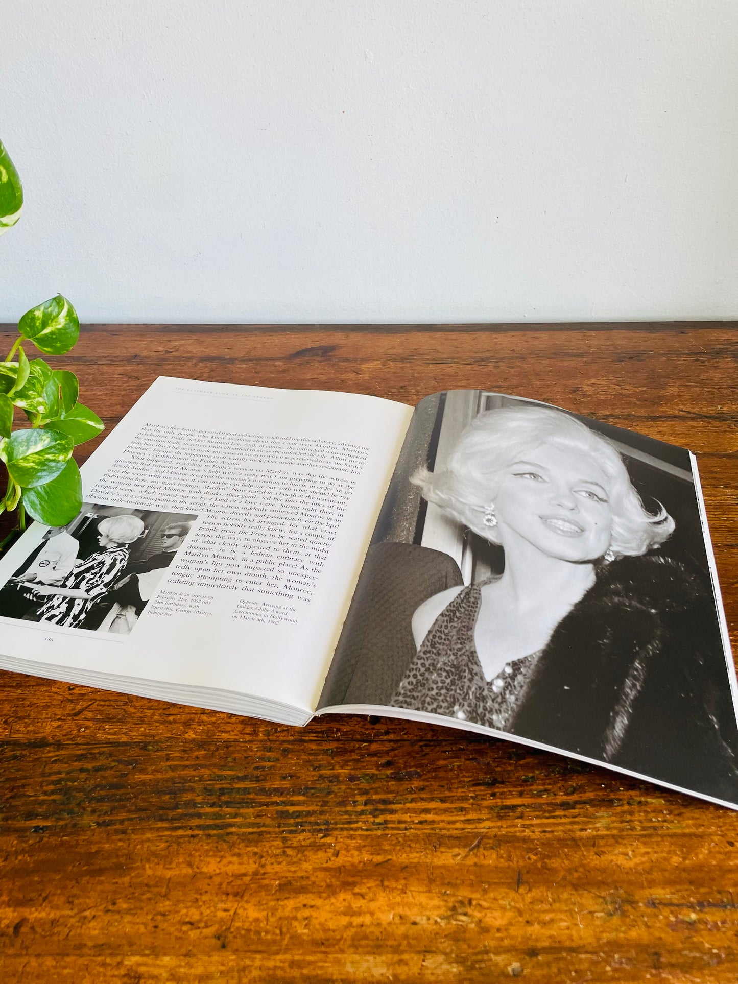 Vintage Marilyn: The Ultimate Look At The Legend Softcover Coffee Table Book by James Haspiel (1993)