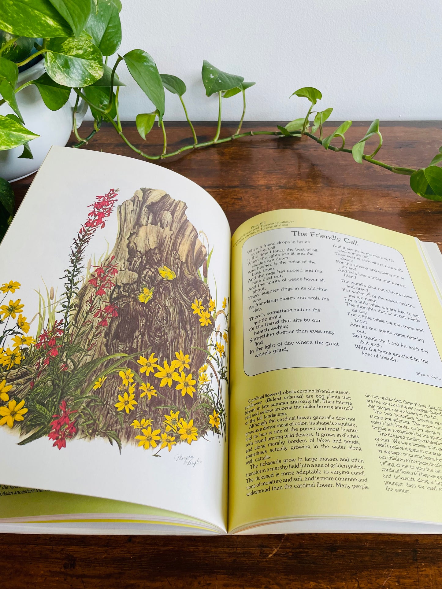 Flowers of Friendship Book Illustrated by Maryrose Wampler (1977)