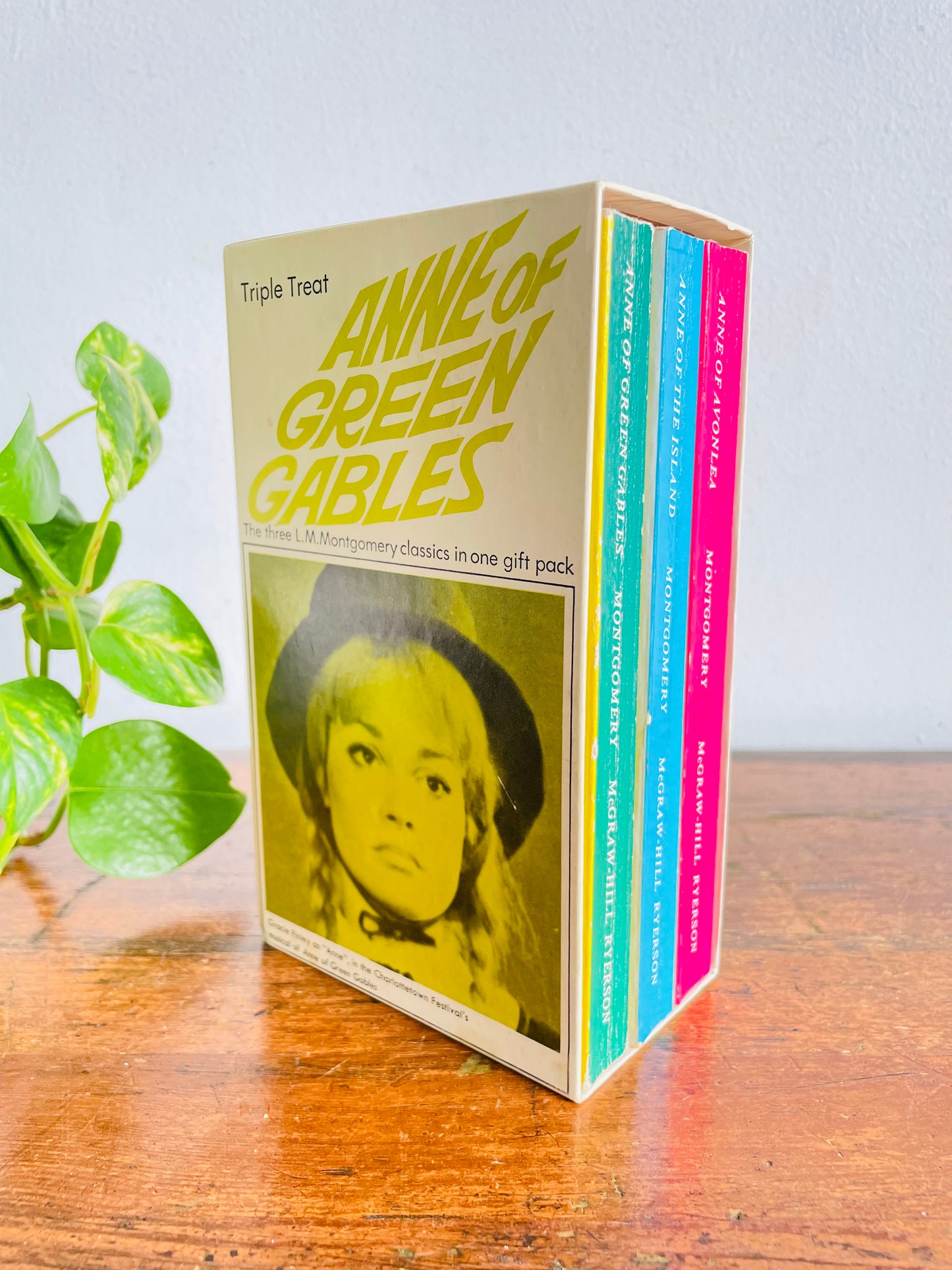 Vintage Anne of Green Gables Paperback Book Box Set - Includes 3 Books - Anne of Avonlea & Anne of the Island (1968)