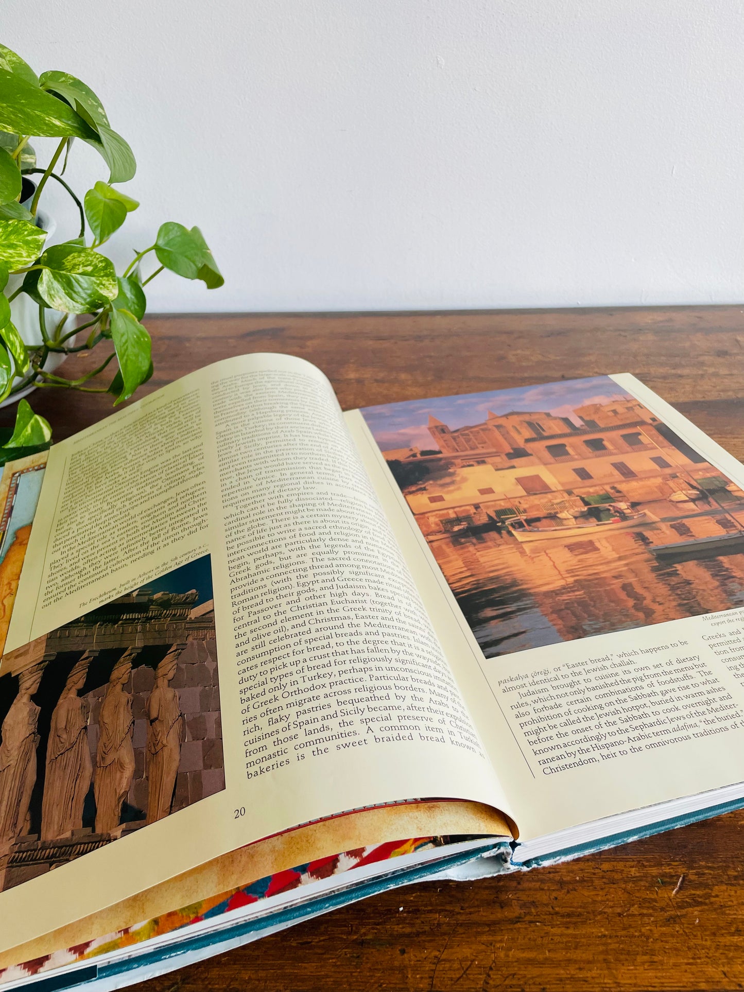 Joyce Goldstein's Mediterranean: The Beautiful Cookbook - Giant Hardcover Book with Photos (1994)