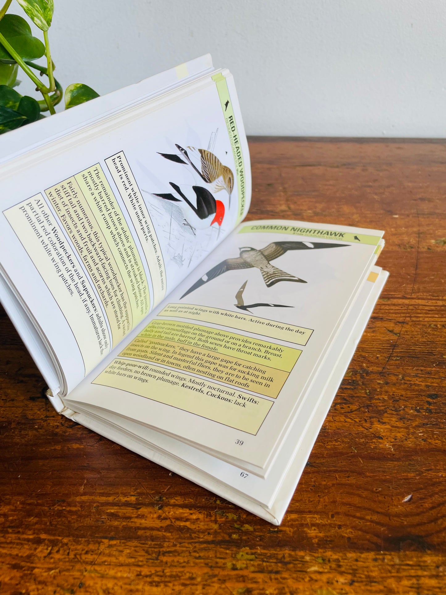 Vintage An Instant Guide to Birds Hardcover Book by Mike Lambert & Alan Pearson (1985)