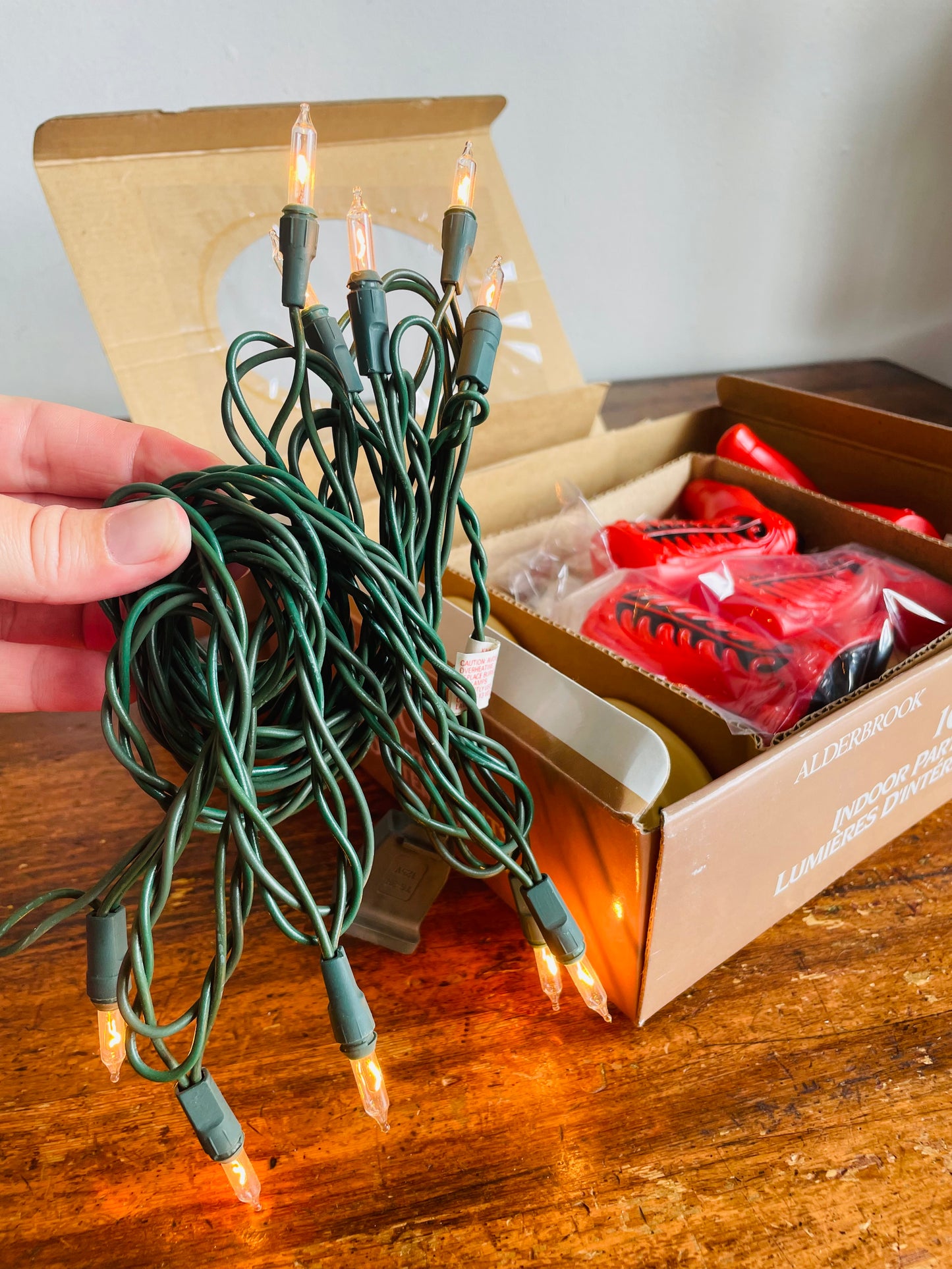 Vintage Alderbrook Western Cowboy Themed 10 Indoor Party String Lights - Box B (One Box) - In Never Used Condition