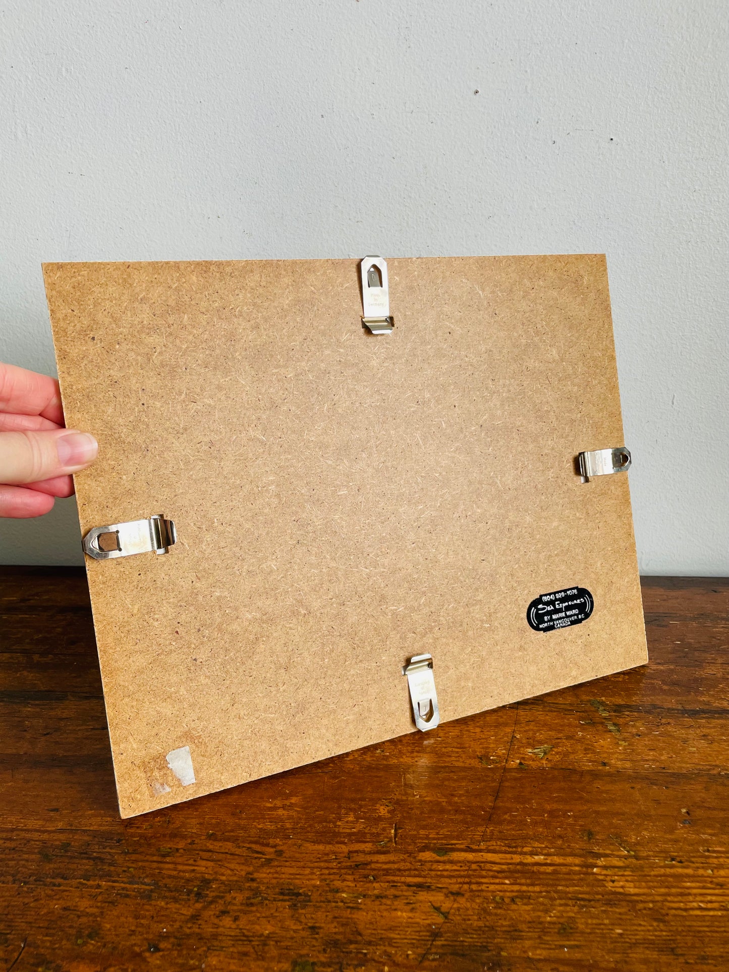 Vintage Pressed Seaweed Original Art - Artist Signed - Marie Ward - North Vancouver BC - 11.75" x 9.5"