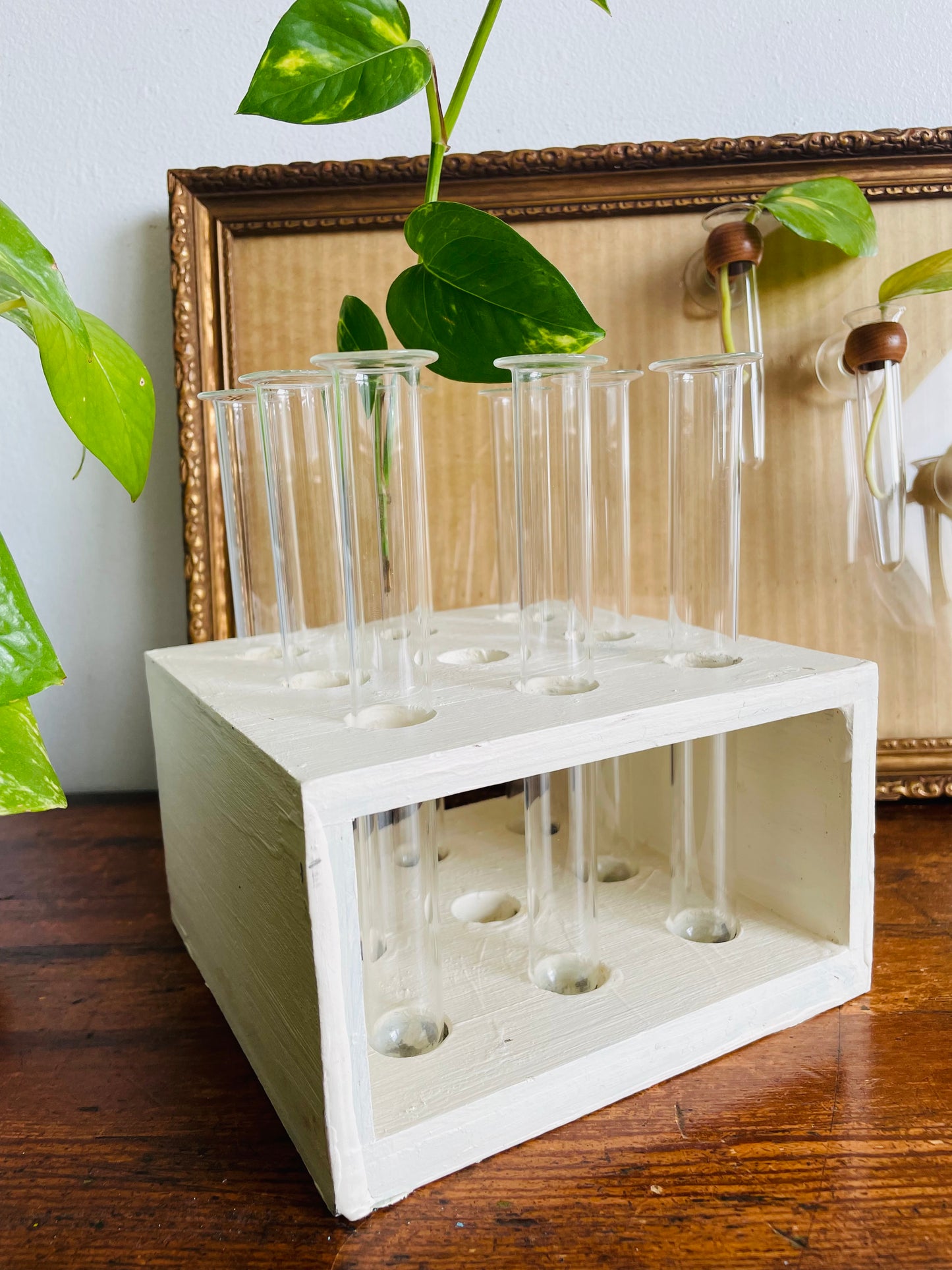 Handmade Wood Propagation Station with 8 Glass Test Tube Inserts