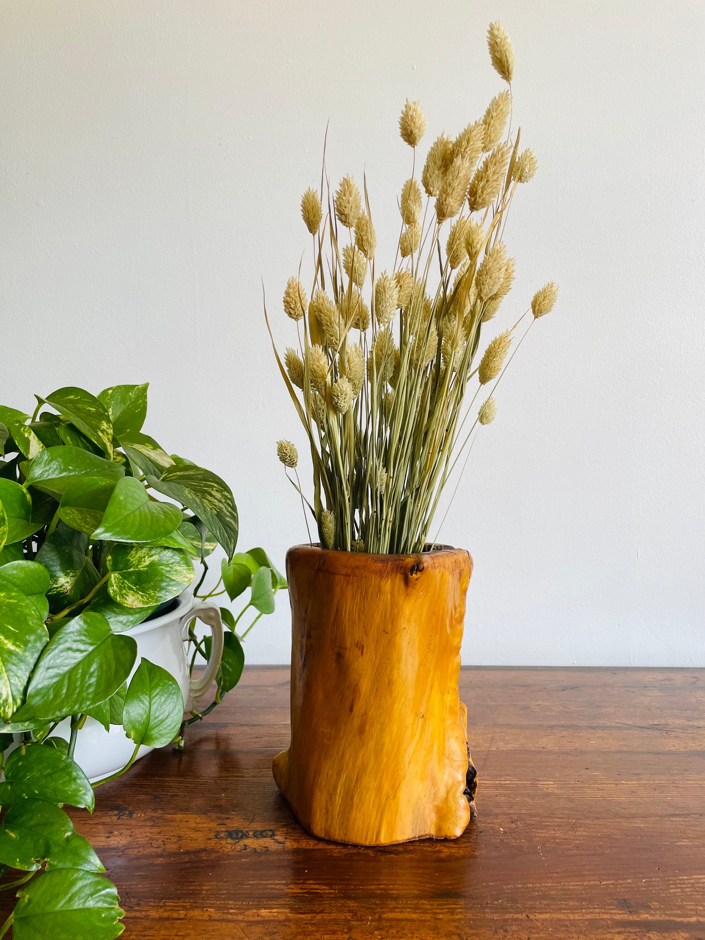 Incredibly Unique Vase made from a Tree Branch with Glass Canister Inside