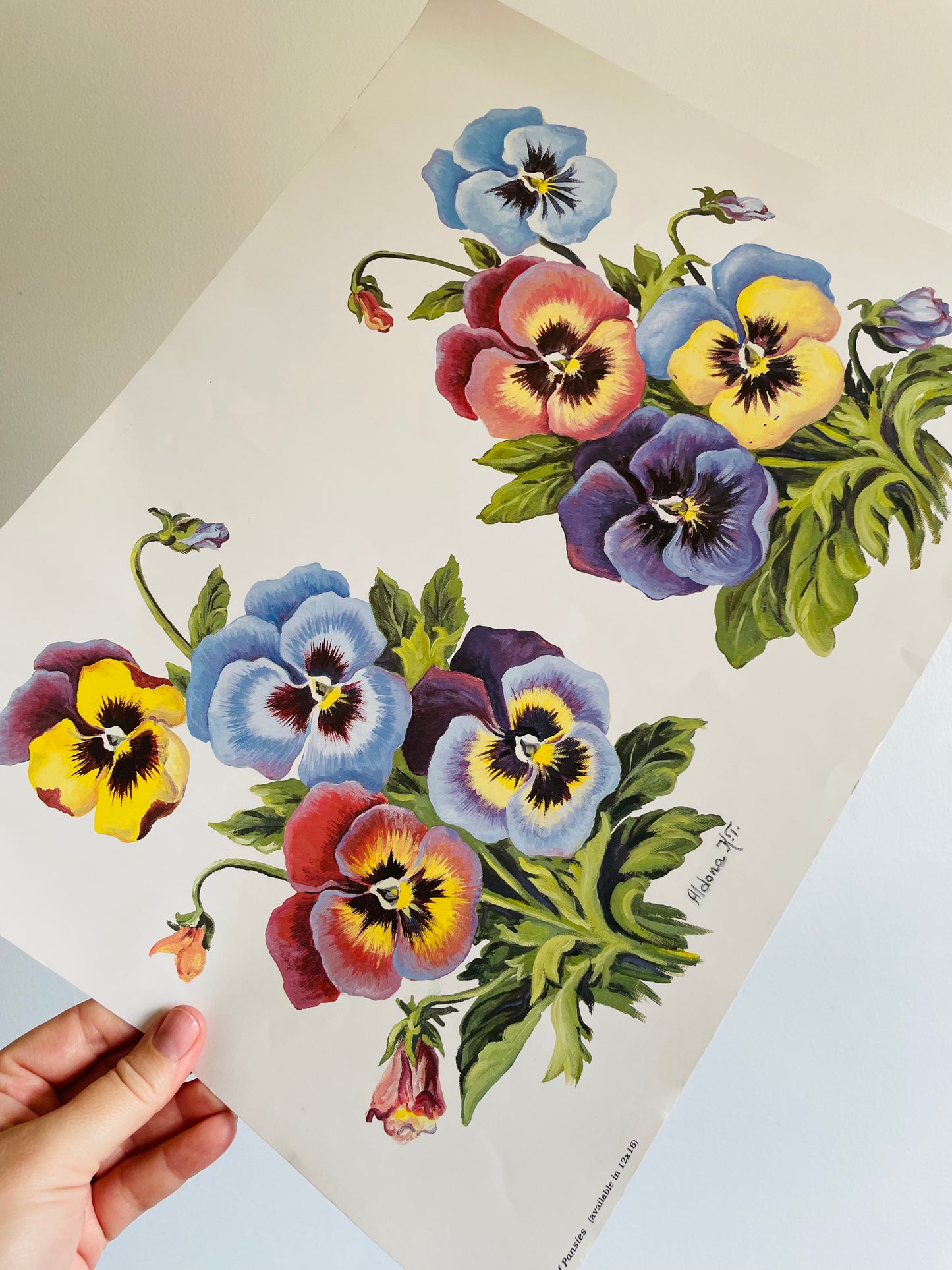 Pair of Pansies Poster Print - Ready for Framing! Printed in Canada (1986)
