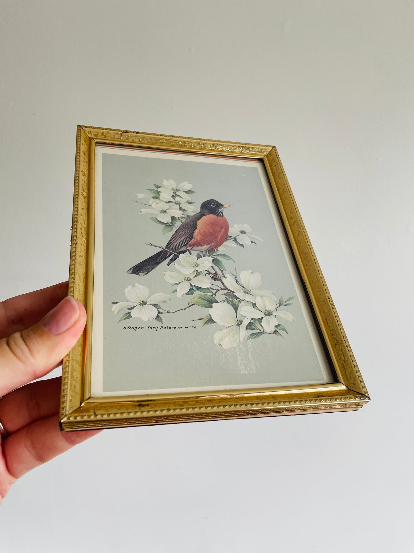 Robin Bird & Flowers Print in Brass Frame - Roger Tory Peterson 1978