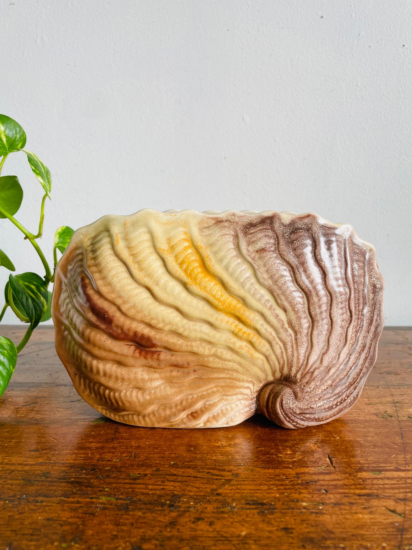 Vintage 1920s Art Deco Shorter & Son 319 L/S Narrow Nautilus Shell Vase - Also Great for Holding Mail - Stoke-On-Trent England