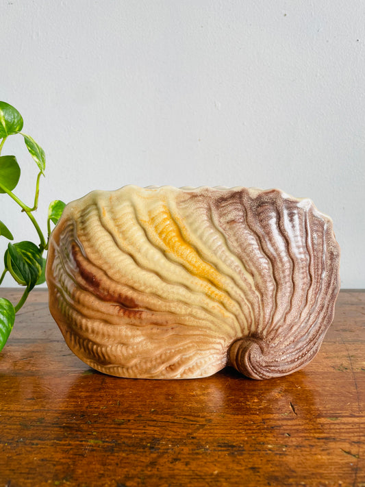 Vintage 1920s Art Deco Shorter & Son 319 L/S Narrow Nautilus Shell Vase - Also Great for Holding Mail - Stoke-On-Trent England
