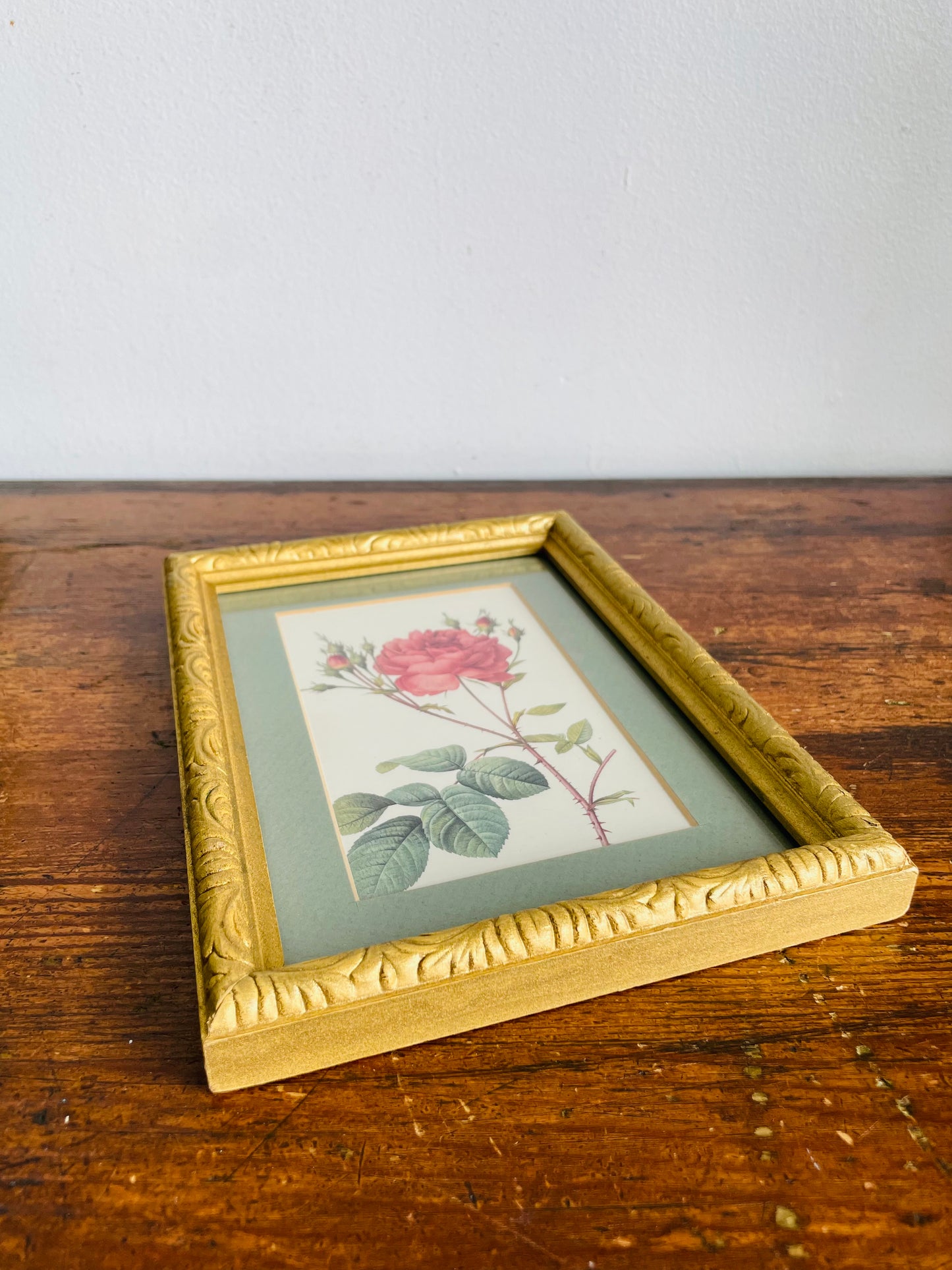 Vintage Framed Botanical Rose Flower Print Picture - Rosa Centifolia Anglica Rubra Illustration by Pierre-Joseph Redouté