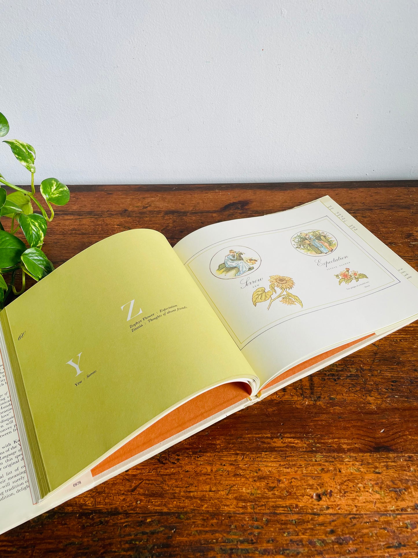 Vintage The Illuminated Language of Flowers Hardcover Book Illustrated by Kate Greenaway with Text by Jean Marsh (1978)