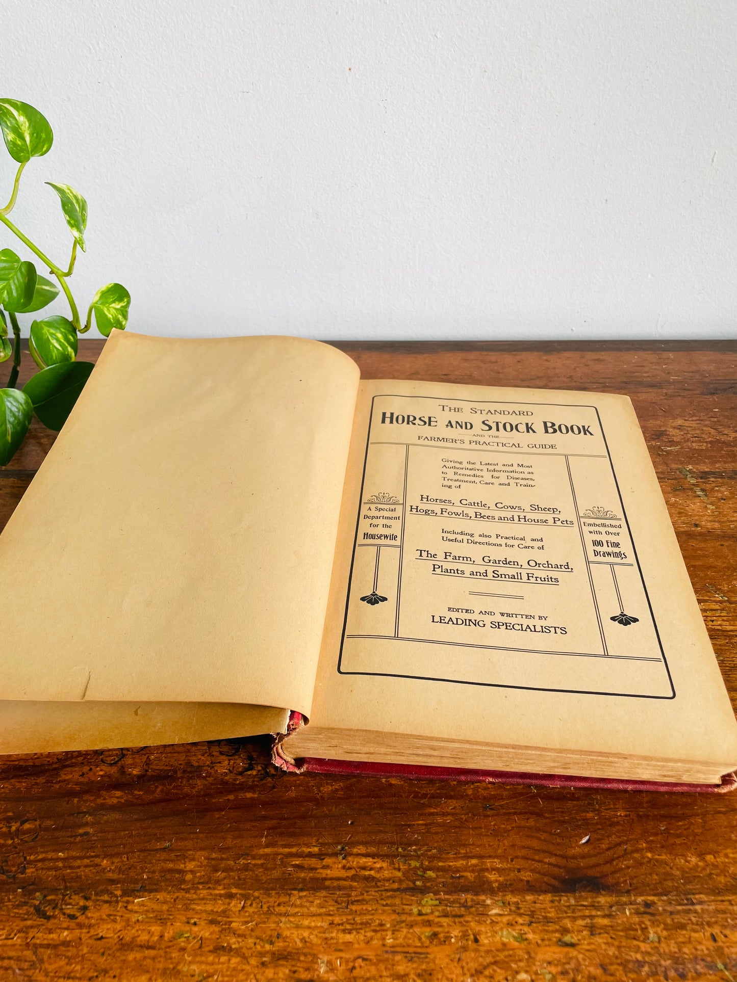 Antique The Standard Horse and Stock Clothbound Hardcover Book - Illustrated Farmer's Practical Guide (1902) - 124 Years Old