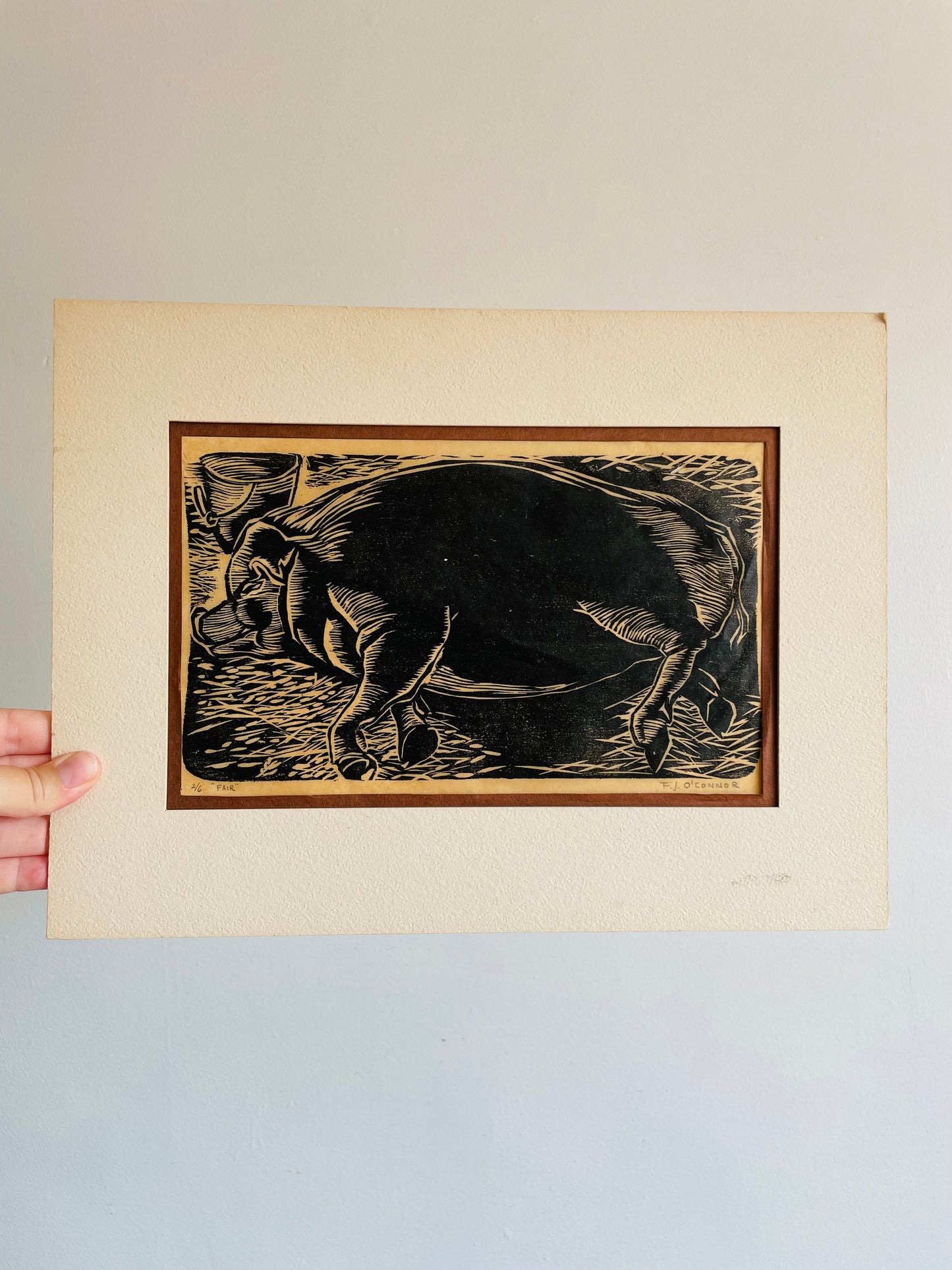 Matted Woodcut Print Picture of Prize Sow Pig - Signed & Numbered - 2/6 "Fair" by F.J. O'Connor