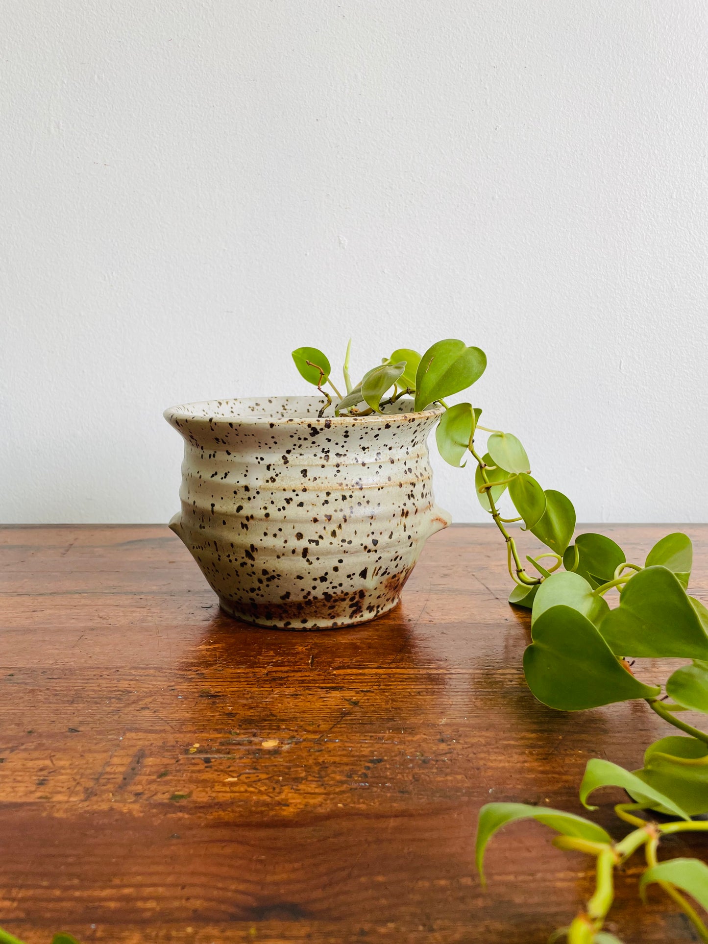 Studio Pottery Speckled Planter Pot with Groove Handles