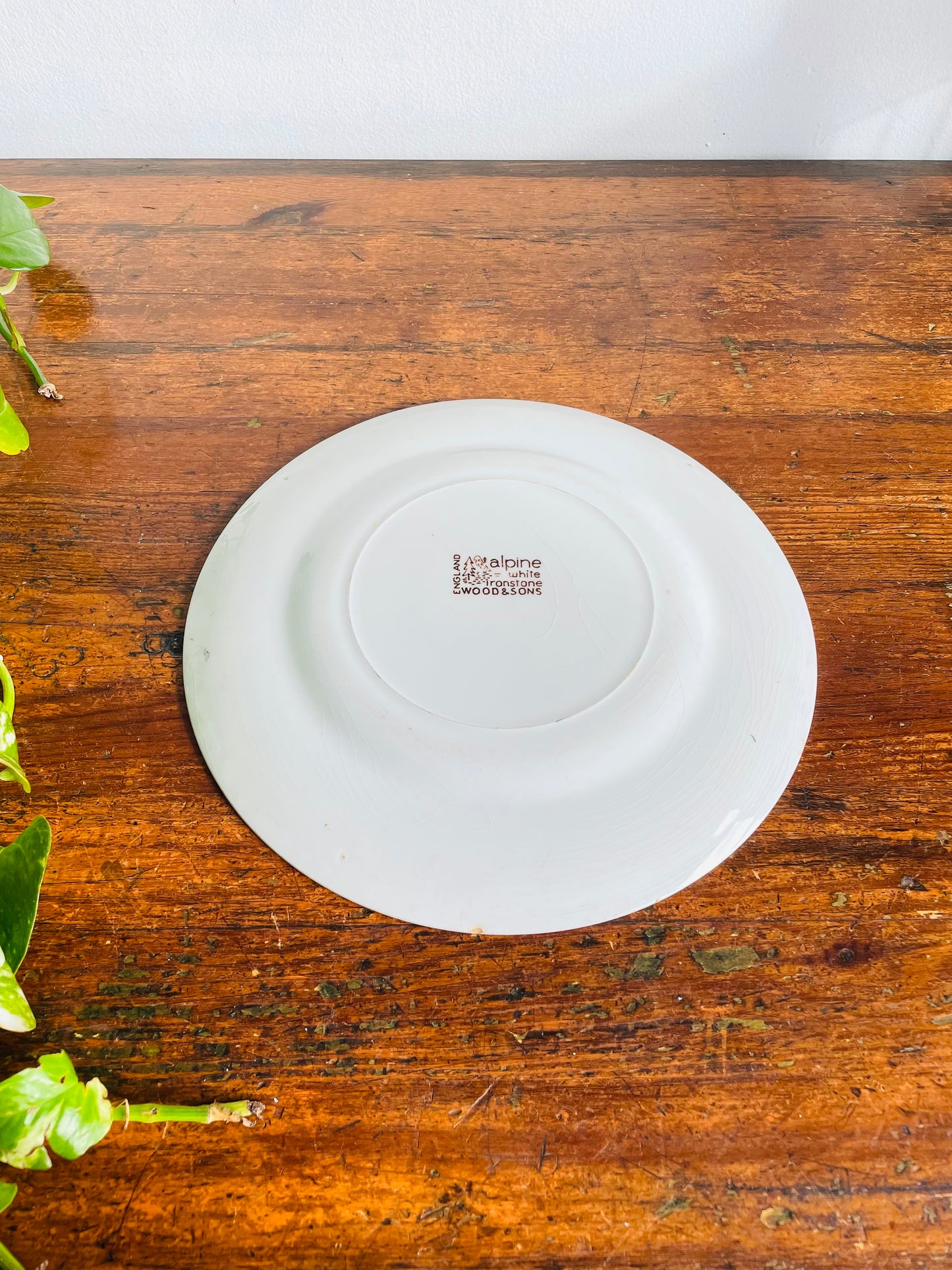 Vintage Wood & Sons Alpine White Ironstone Plate with Brown Flowers, Equestrian / Horse Riders & Dog Design - Made in England