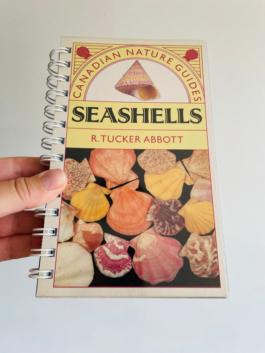 Canadian Nature Guides: Seashells Book by R. Tucker Abbott (1990)