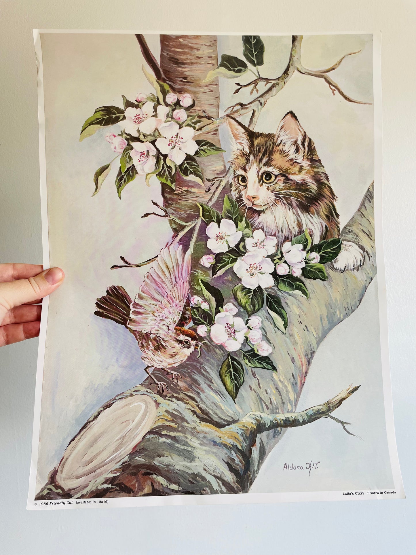 Friendly Cat Poster Print - Ready for Framing! Printed in Canada (1986)