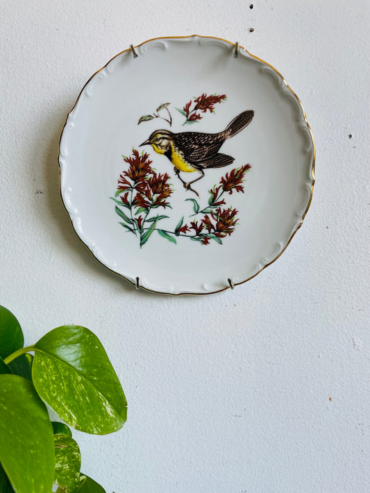 Vintage Bavaria Schumann Arzberg Germany Plate with Bird Design - Includes Wall Plate Hanger but Could Use Without