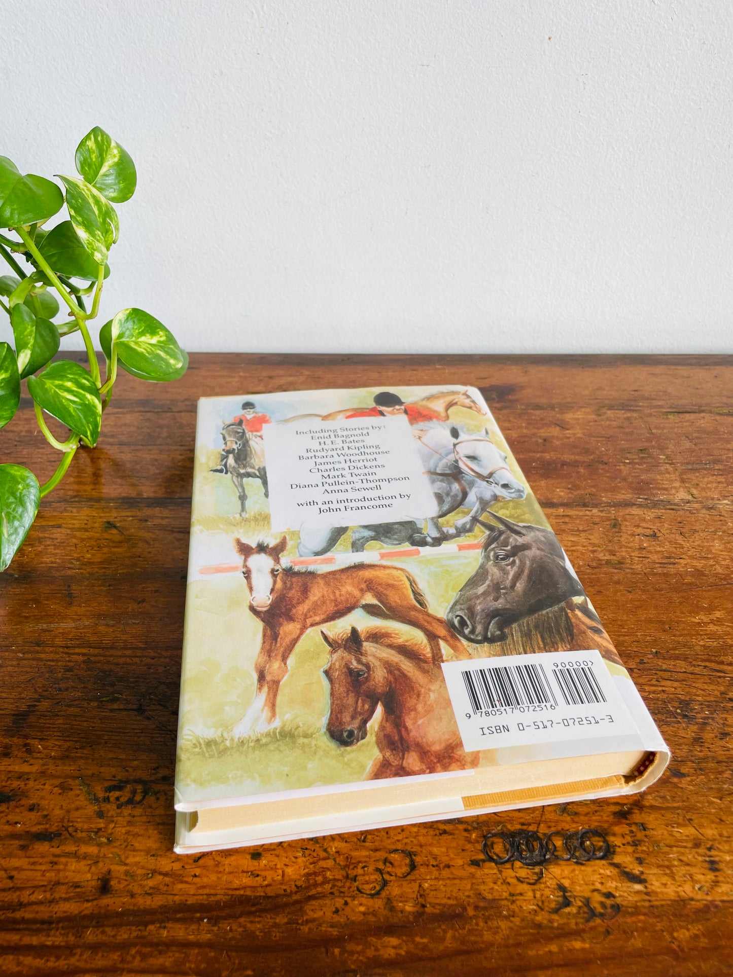 Vintage Best Horse Stories Hardcover Book Compiled by Lesley O'Mara - Dickens, Twain, Sewell, Herriot, Kipling, & More (1991)