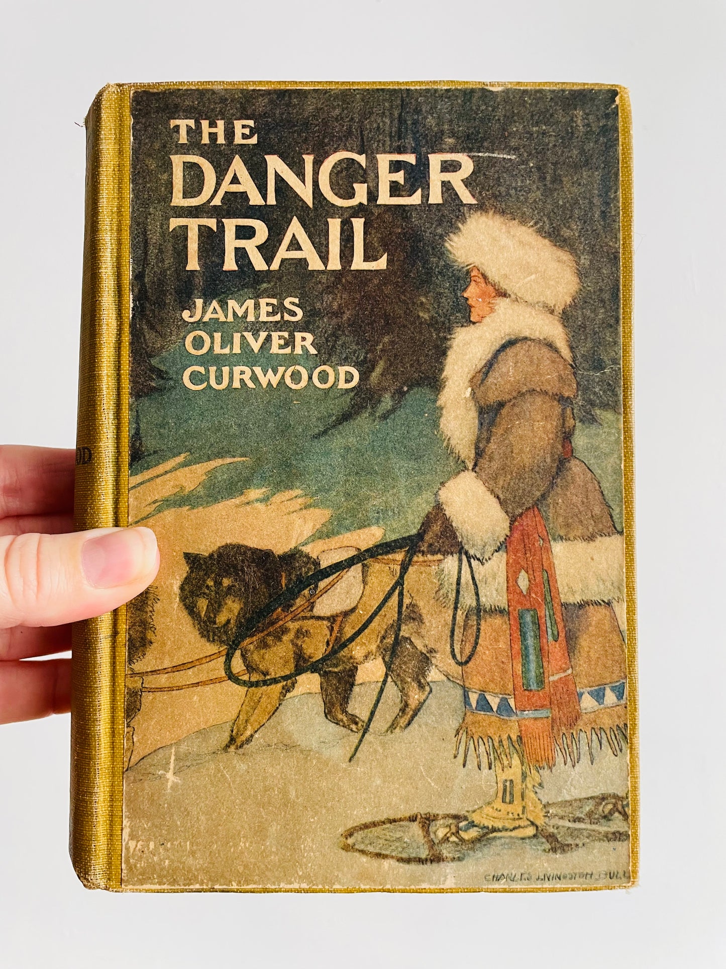 The Danger Trail by James Oliver Curwood Antique Hardcover Book (1910) - Mystery Novel Set in Hudson Bay Region