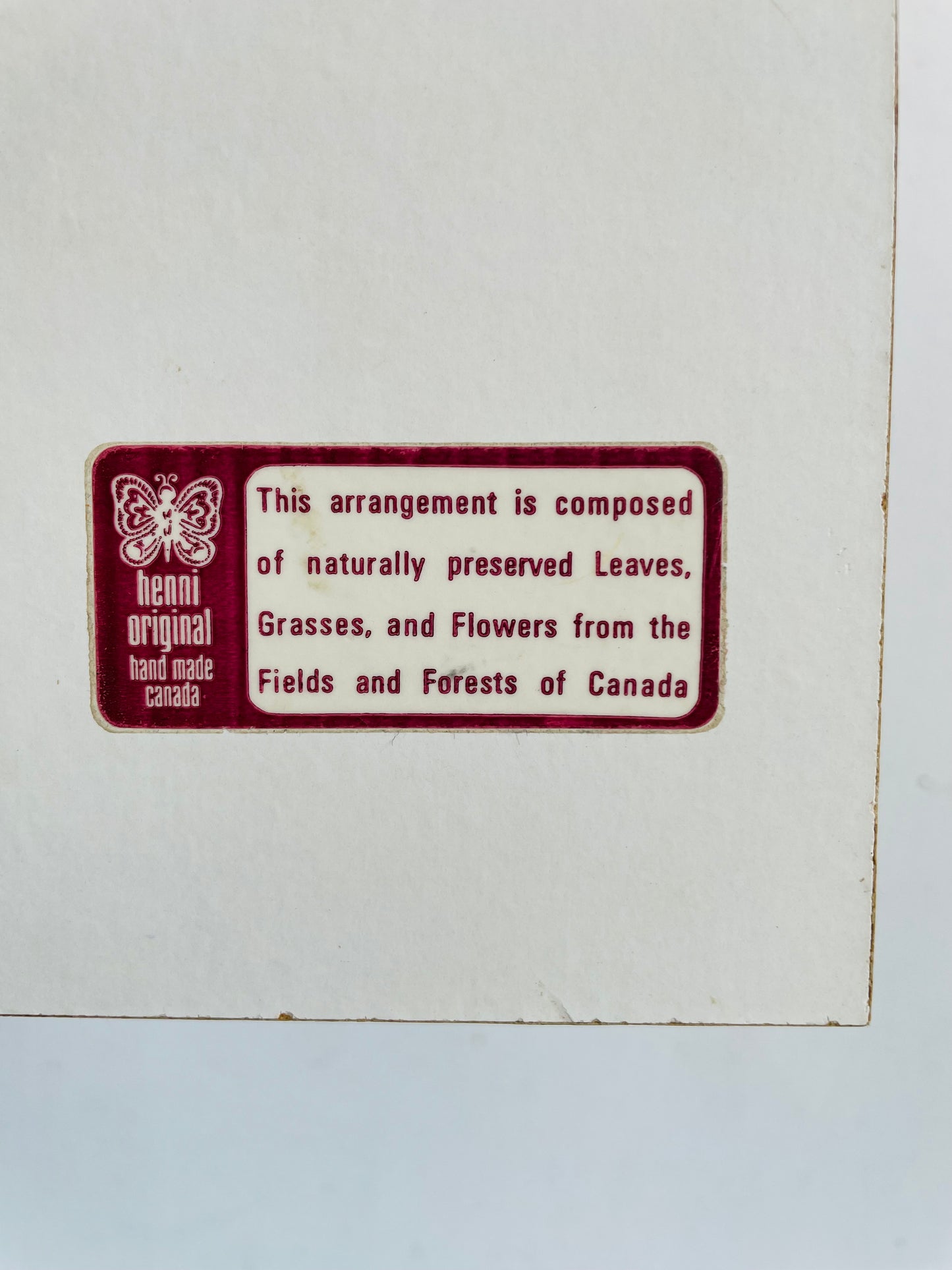 Vintage Henni Original Naturally Preserved Canadian Maple Leaves in Resin Picture - Artist Signed - Handmade in Canada