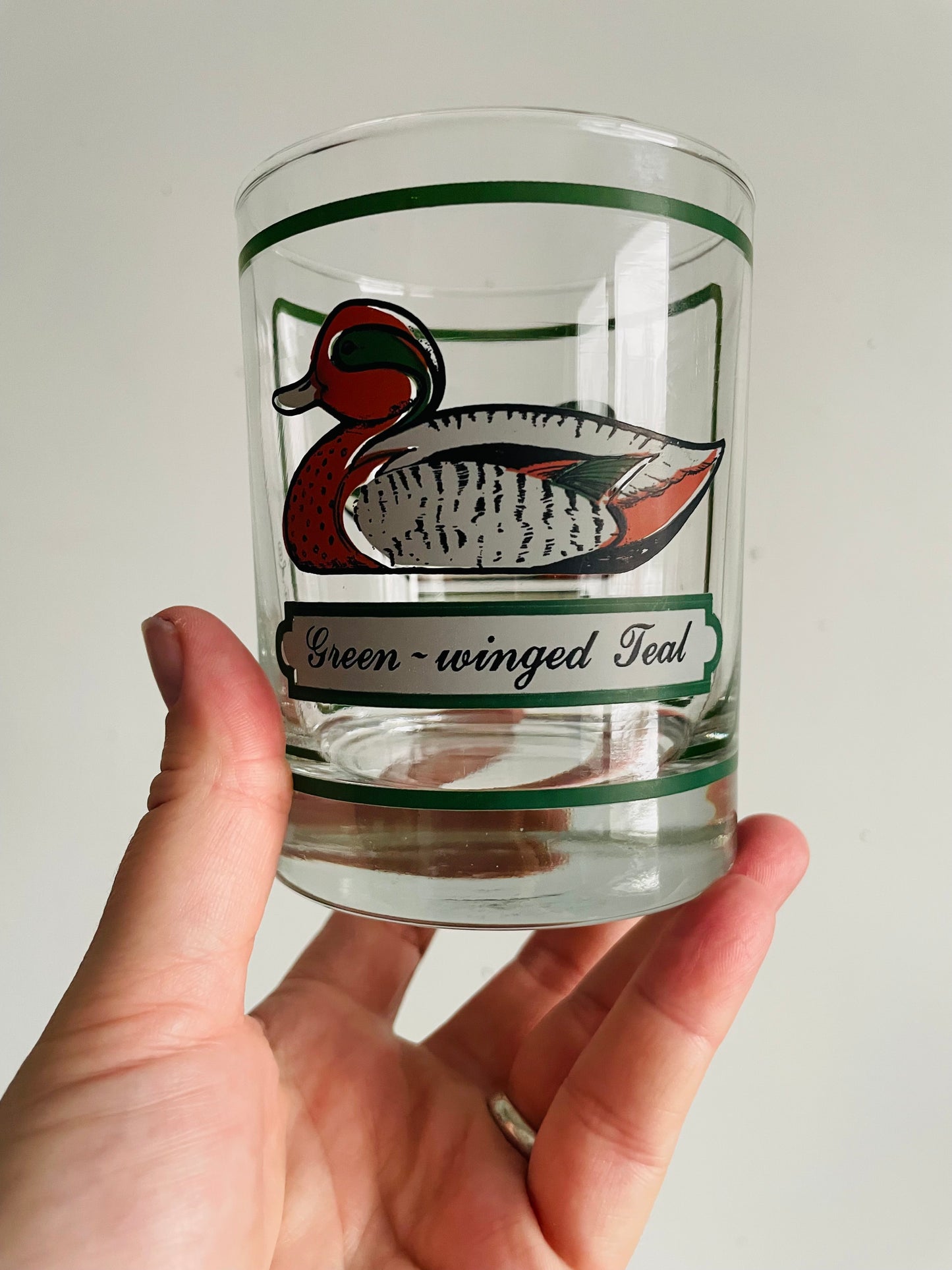 Vintage Georges Briard Heavy-Bottomed Bird Tumbler Drinking Glasses - Green-Winged Teal & Mallard Ducks - Set of 2