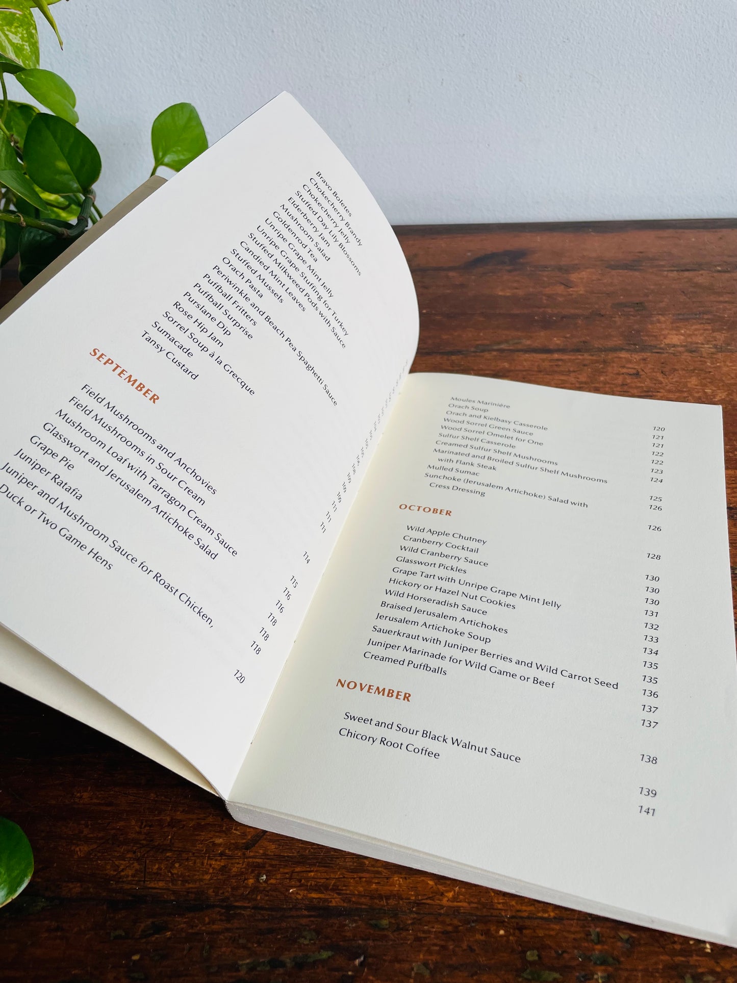 Vintage The Wild Gourmet Paperback Book by Babette Brackett & Maryann Lash (1975) - A Forager's Guide to the Finding & Cooking of Wild Foods