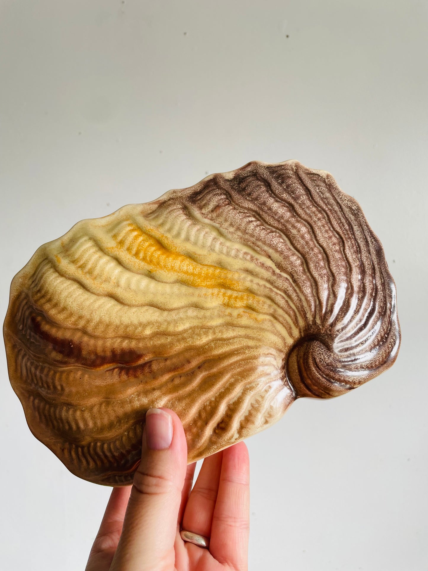 Vintage 1920s Art Deco Shorter & Son 319 L/S Narrow Nautilus Shell Vase - Also Great for Holding Mail - Stoke-On-Trent England