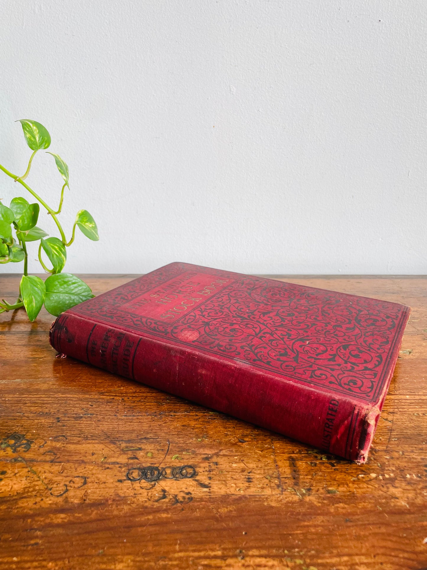 Antique The Standard Horse and Stock Clothbound Hardcover Book - Illustrated Farmer's Practical Guide (1902) - 124 Years Old