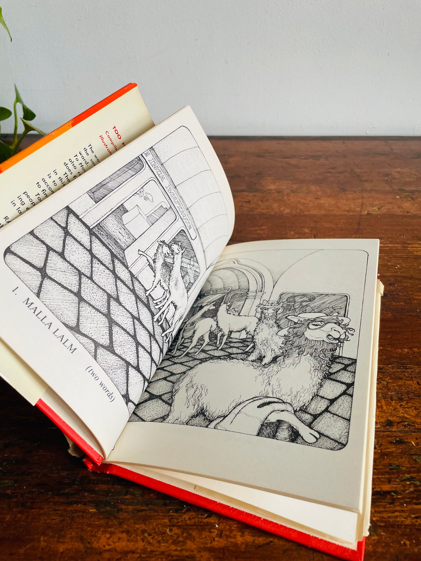 Vintage Too Hot to Hoot: The Palindrome Puzzle Hardcover Book by Raymond Stuart & Pictures by Pamela Ford (1977)