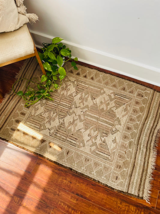 Hand Knotted Throw Rug with Beautiful Design