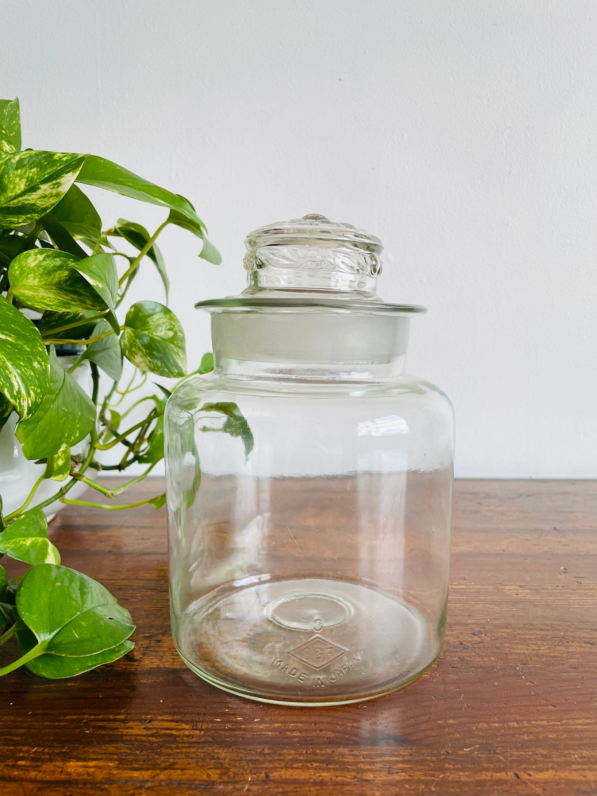 Antique Early 1900s SGF Clear Glass Apothecary Canister Jar with Lid ...