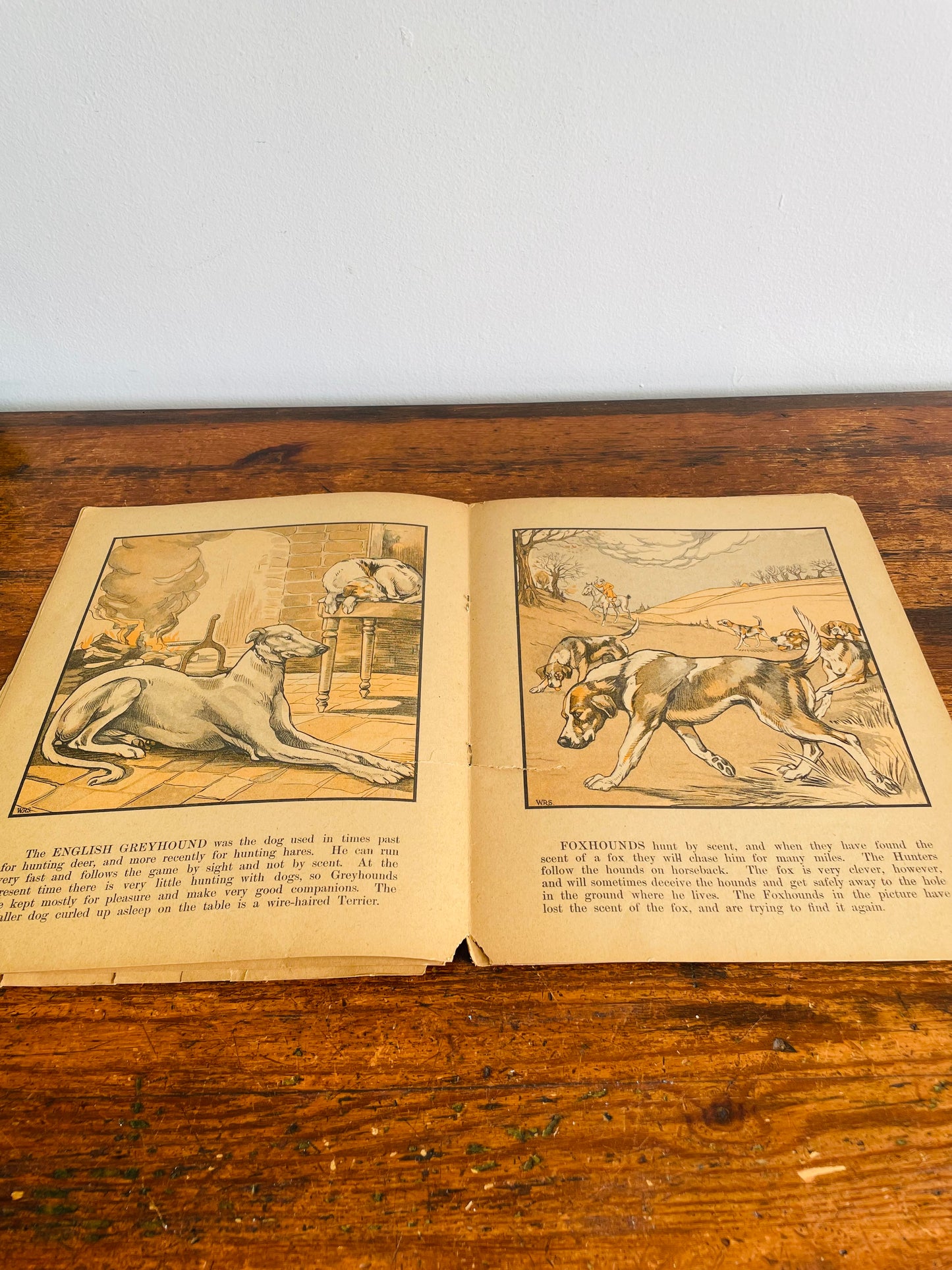 Antique A Book of Dogs - The Canada Games Co. (1921) - Fantastic Illustrations for Prints & Framing!