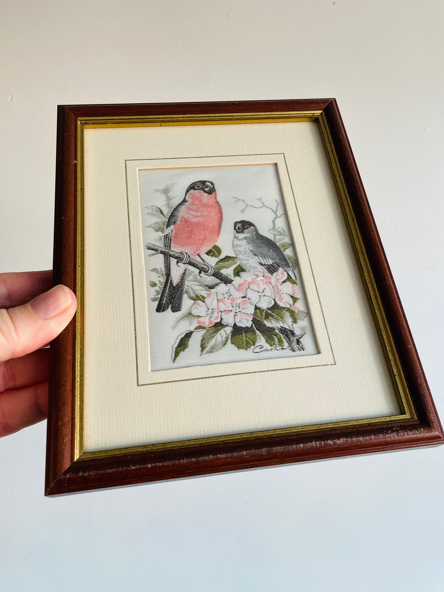 Cash's Silk Woven Pictures - Bullfinch Bird - J. & J. Cash Ltd. Coventry England