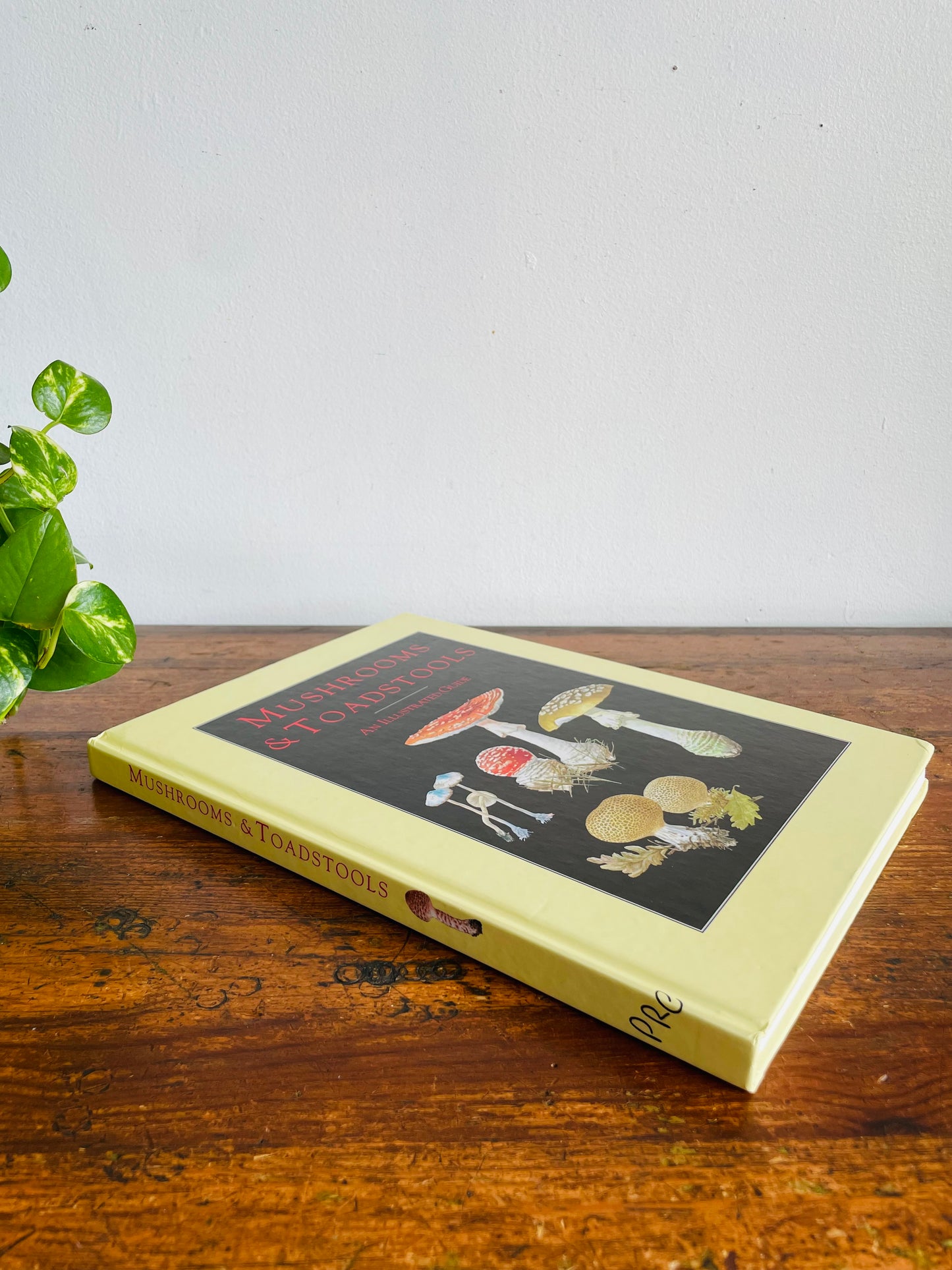 Vintage Mushrooms & Toadstools Illustrated Guide Hardcover Book by Jiří Baier (1995)