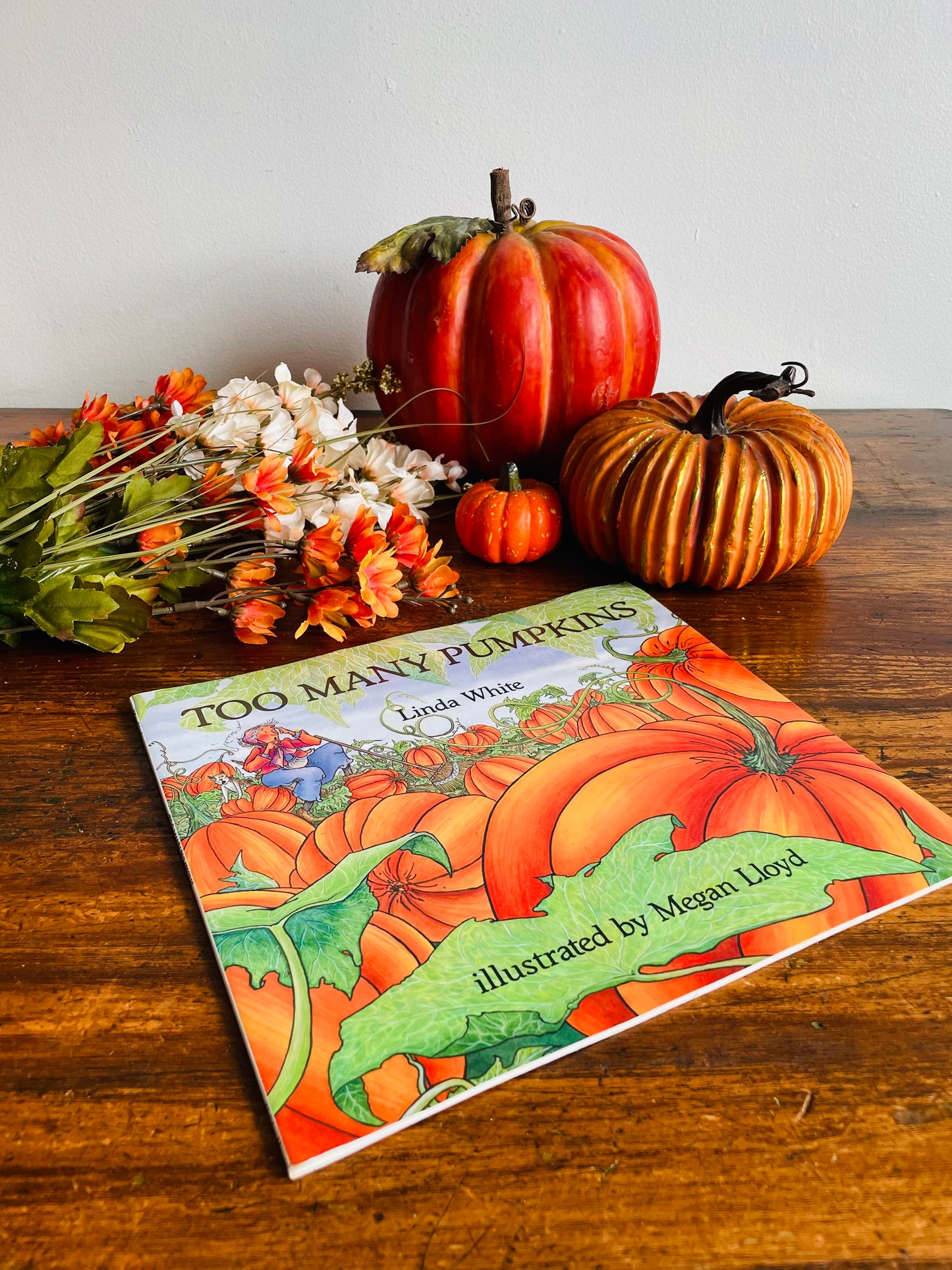 Too Many Pumpkins Book by Linda White & Megan Lloyd (1996)