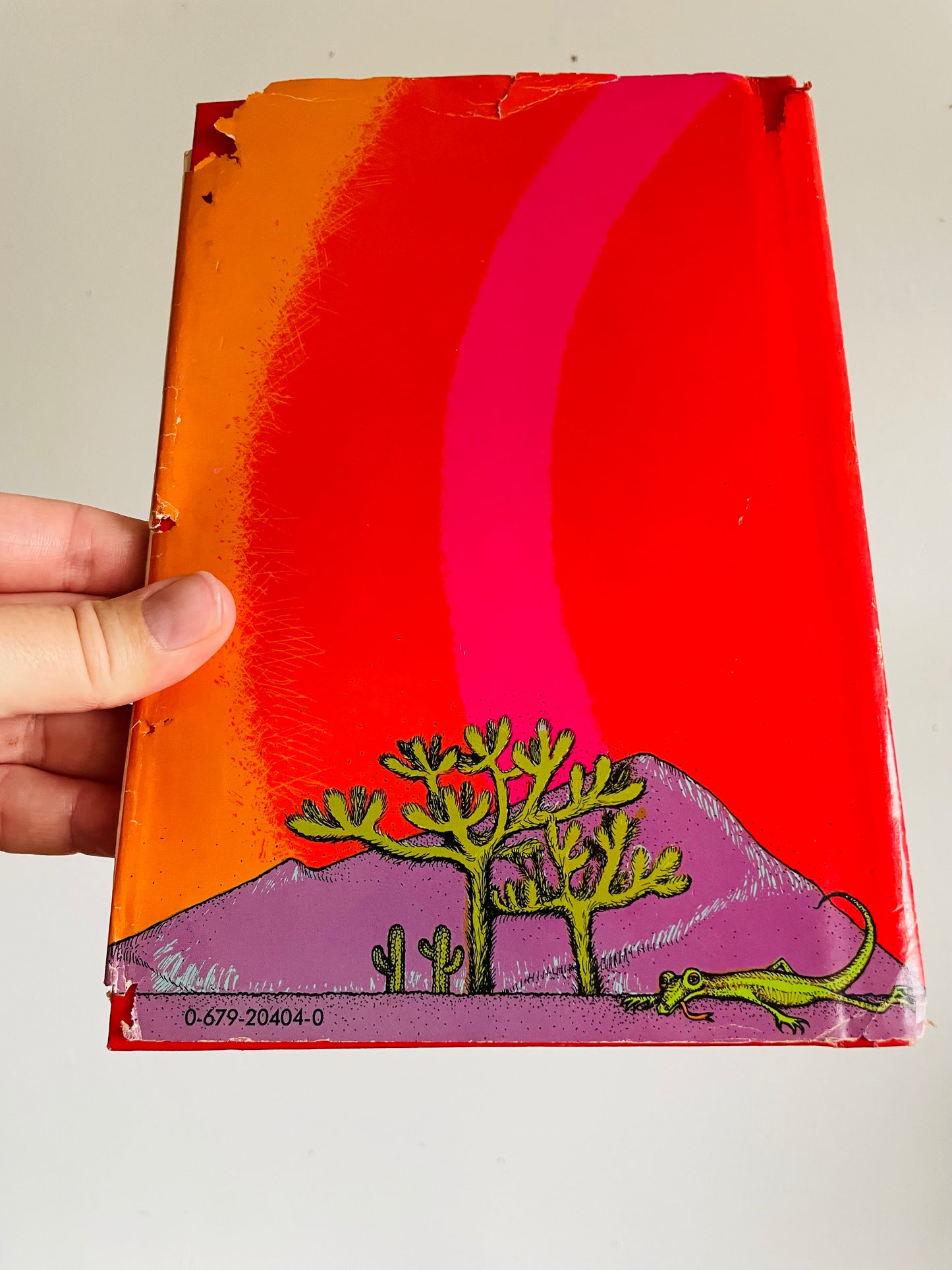 Vintage Too Hot to Hoot: The Palindrome Puzzle Hardcover Book by Raymond Stuart & Pictures by Pamela Ford (1977)