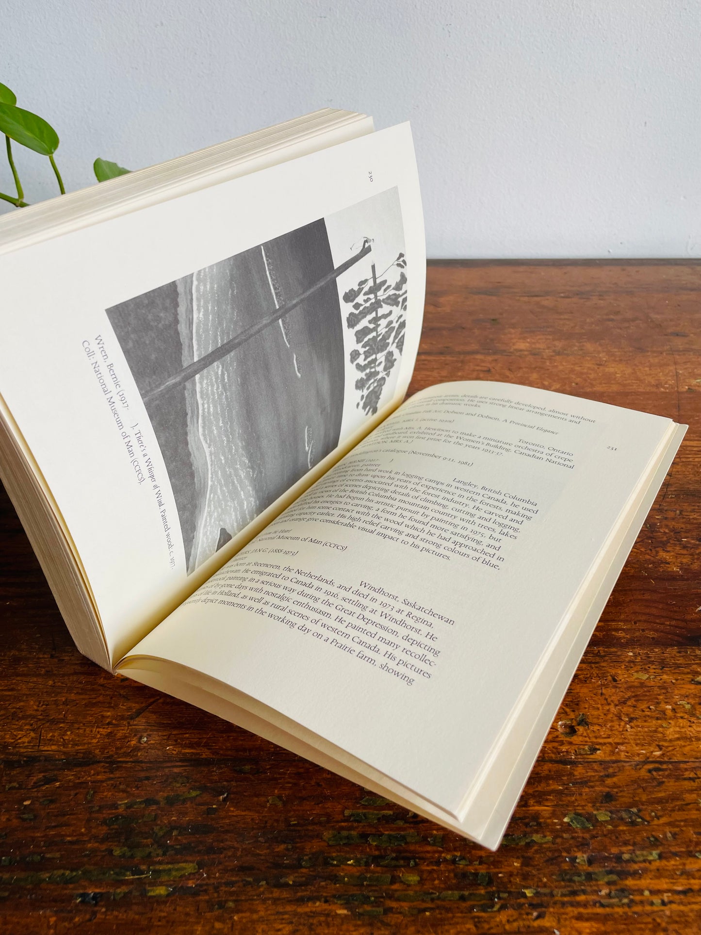 Vintage A Compendium of Canadian Folk Artists Book by Terry Kobayashi & Michael Bird (1985)