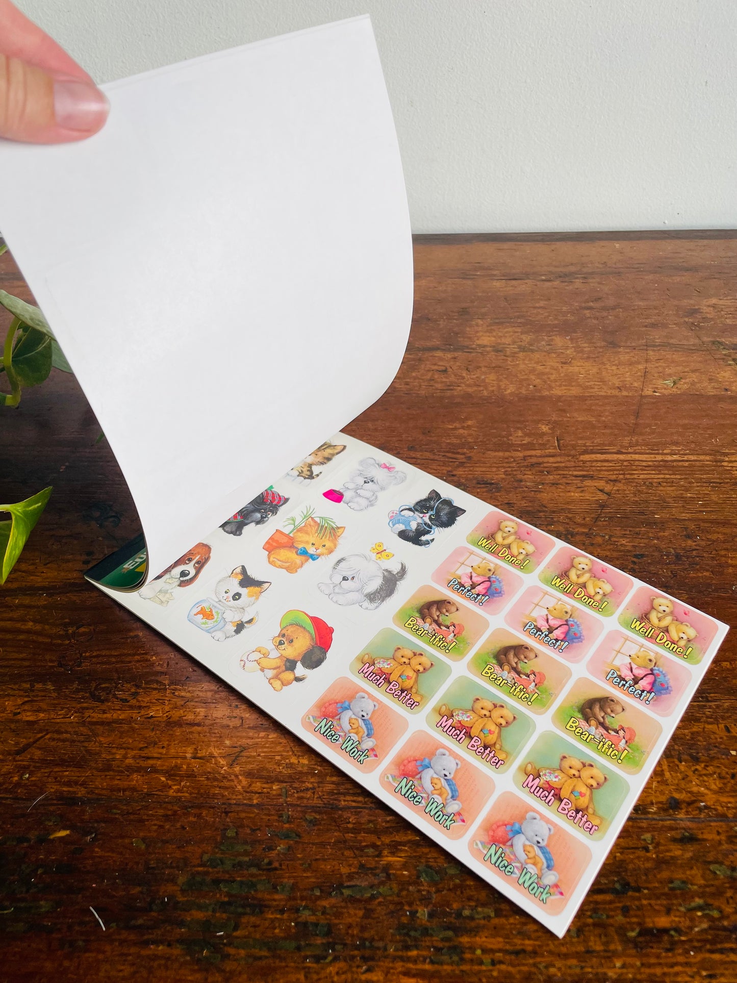 Brand New Vintage School Teacher Classroom Supplies - Eureka Animal Sticker Book - Includes 528 Stickers / 8 Sheets