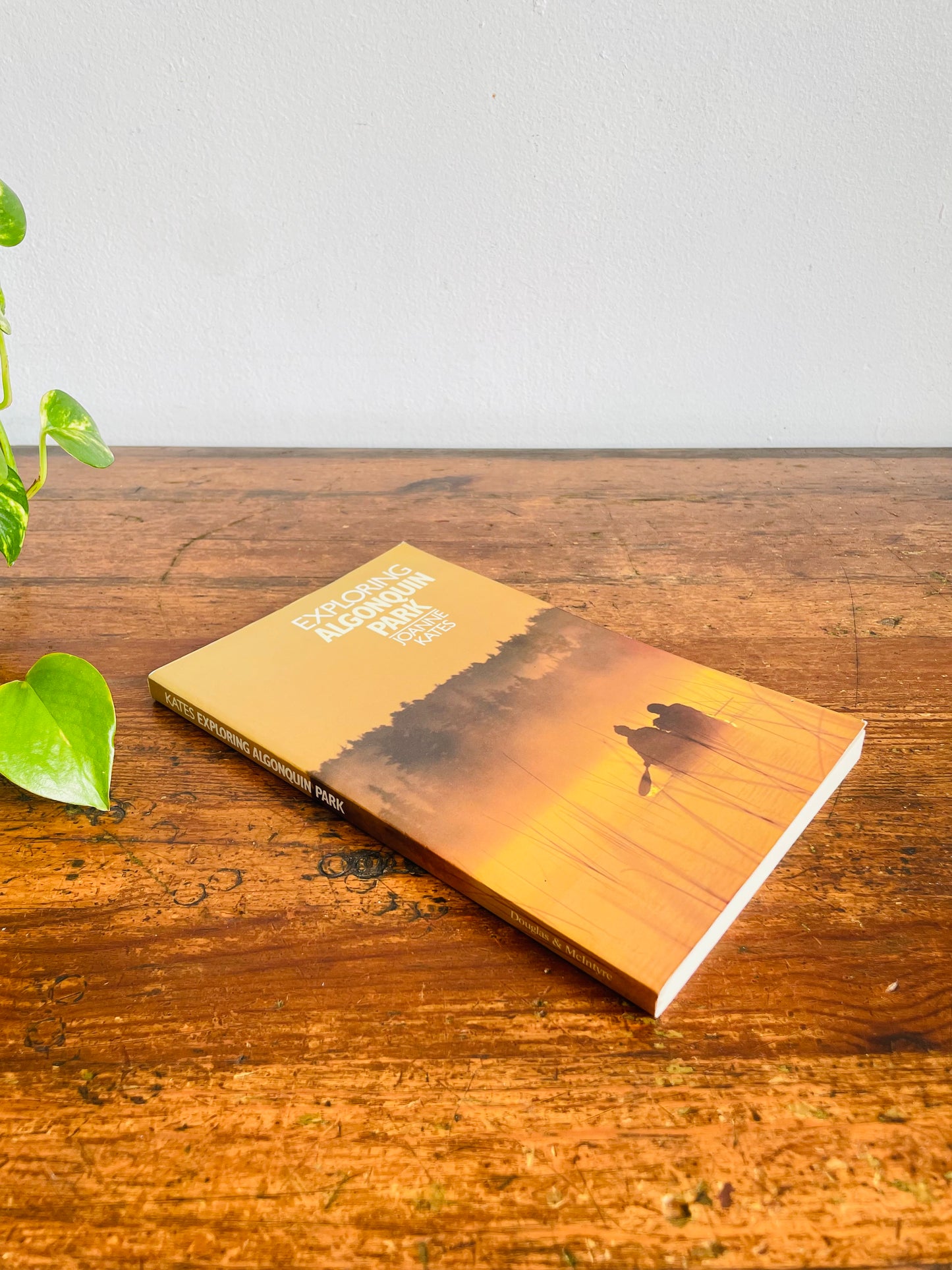 Vintage Exploring Algonquin Park Softcover Book by Joanne Kates (1985)